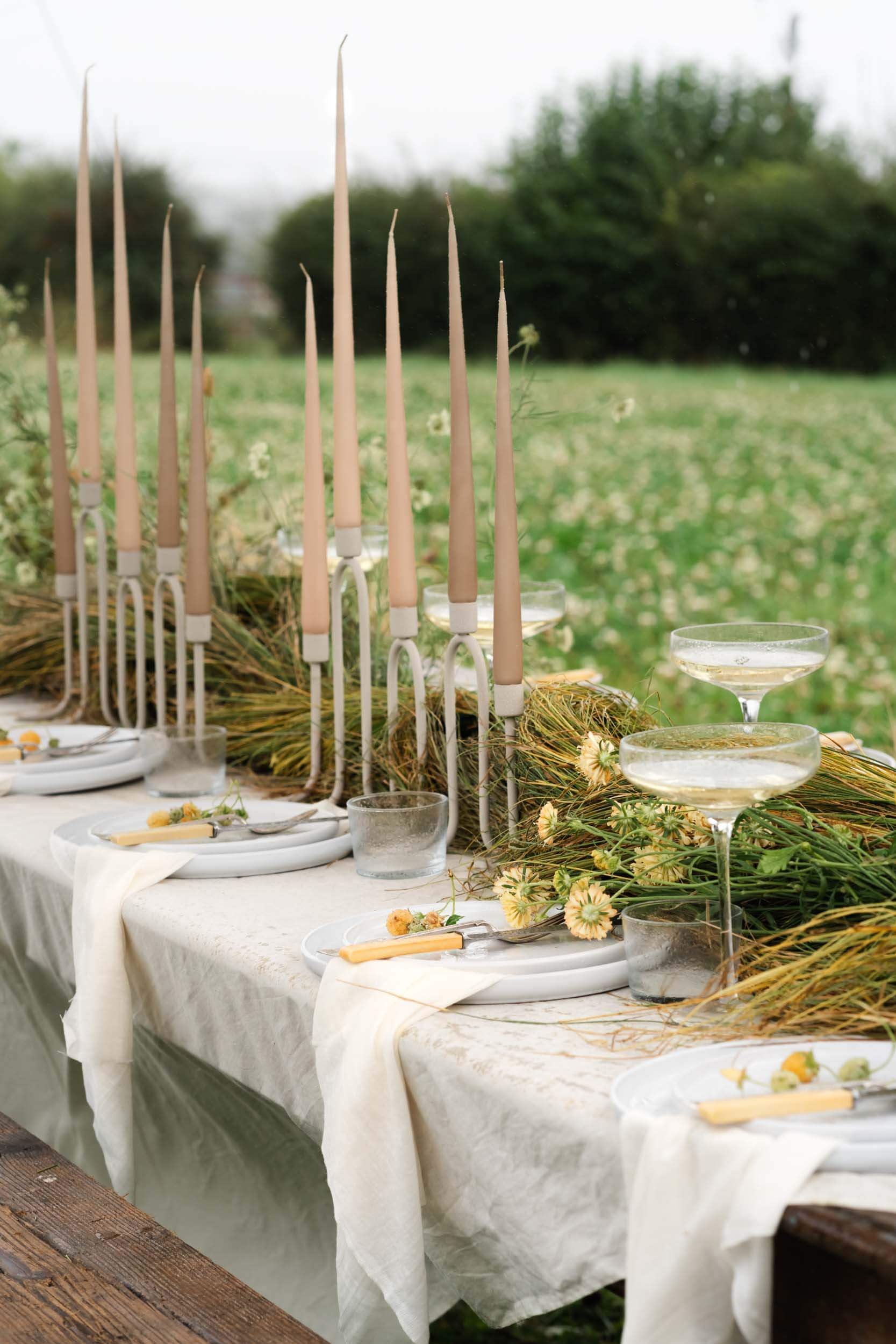 table in meadow set up for wedding
