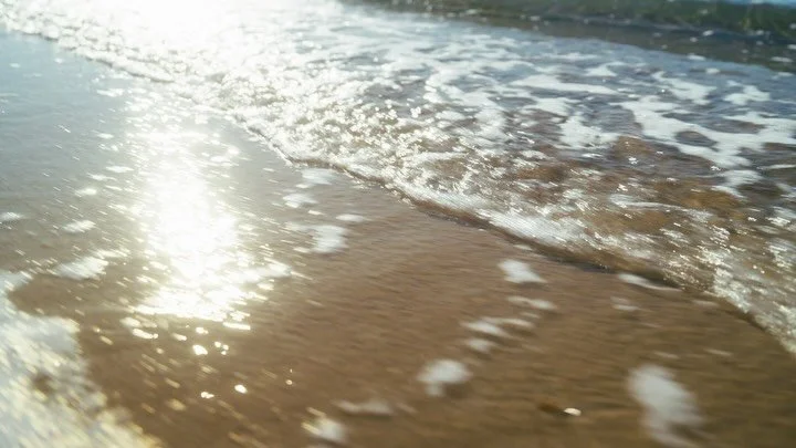 Spring by @highspiritsofficial 

Brand: @malvro @aroaserrano_ 
Production: @agenciamarsway 
Producers: @sara.calvop
Creative Producer (Video): @merolabr.collective
Director (Video): @etcetera_creative 
Creatives: @etcetera_creative @malvro 
DOP | Cam