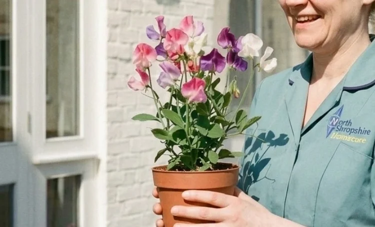 Country Breezes and Spring Sneezes: Protecting Your Lungs in Rural Shropshire