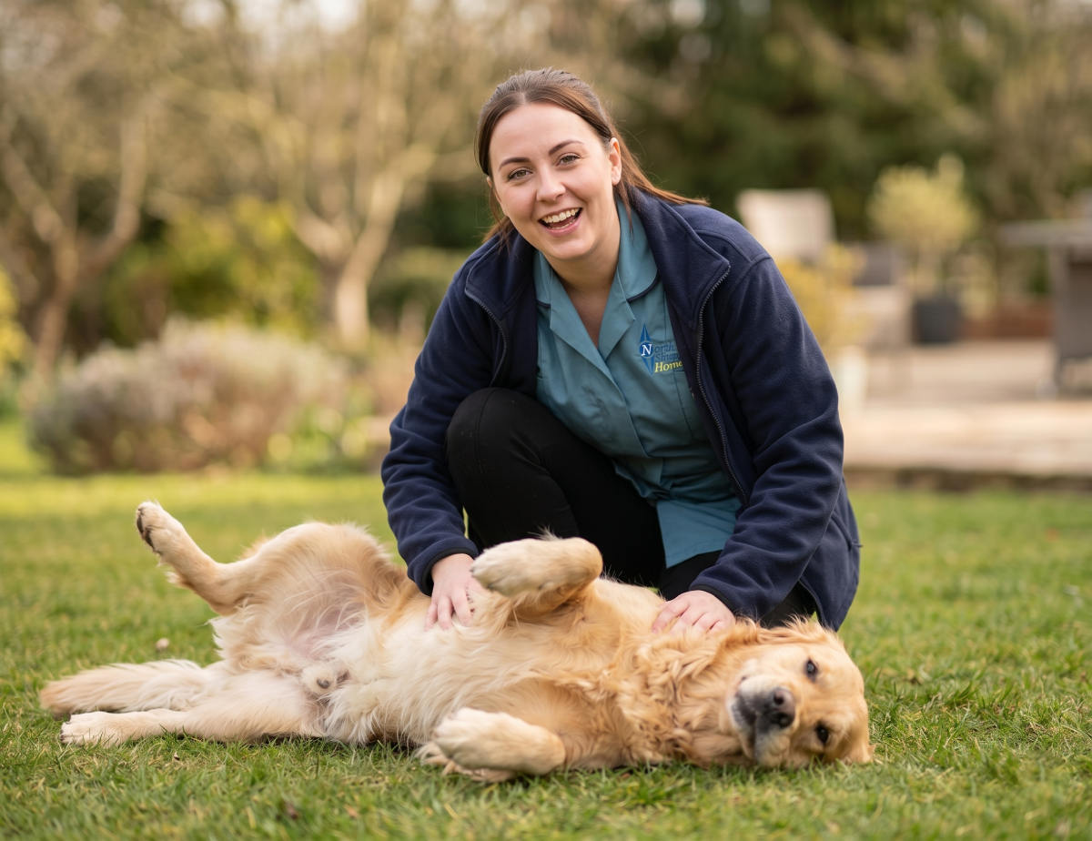 A woman playing with a golden retriever dog lying on its back on the grass in a park.