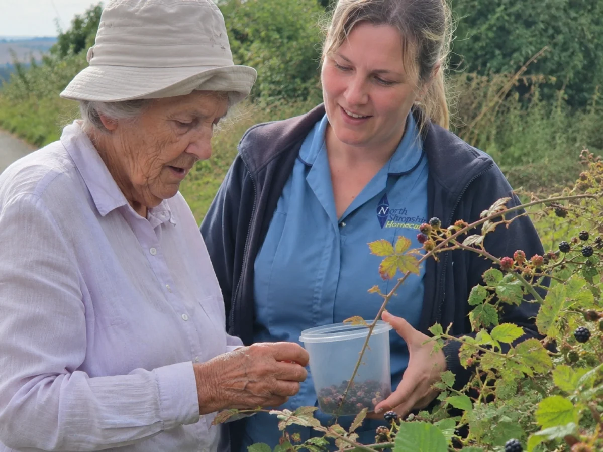 An elderly woman and a younger woman are picking blackberries together in a berry field.