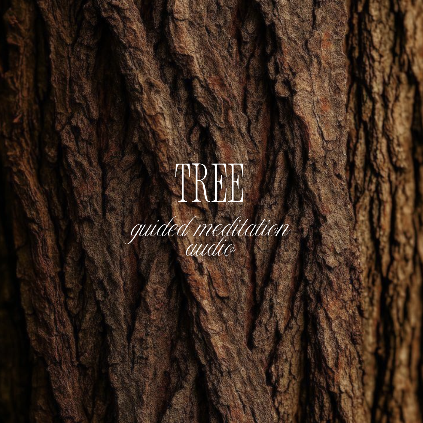 Guided tree meditation