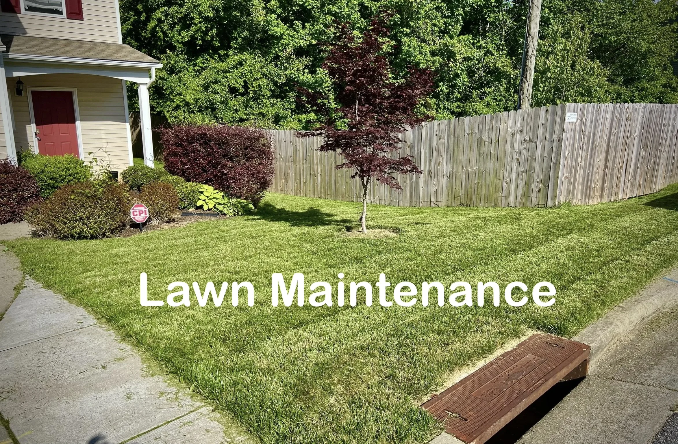 Lawn Maintenance