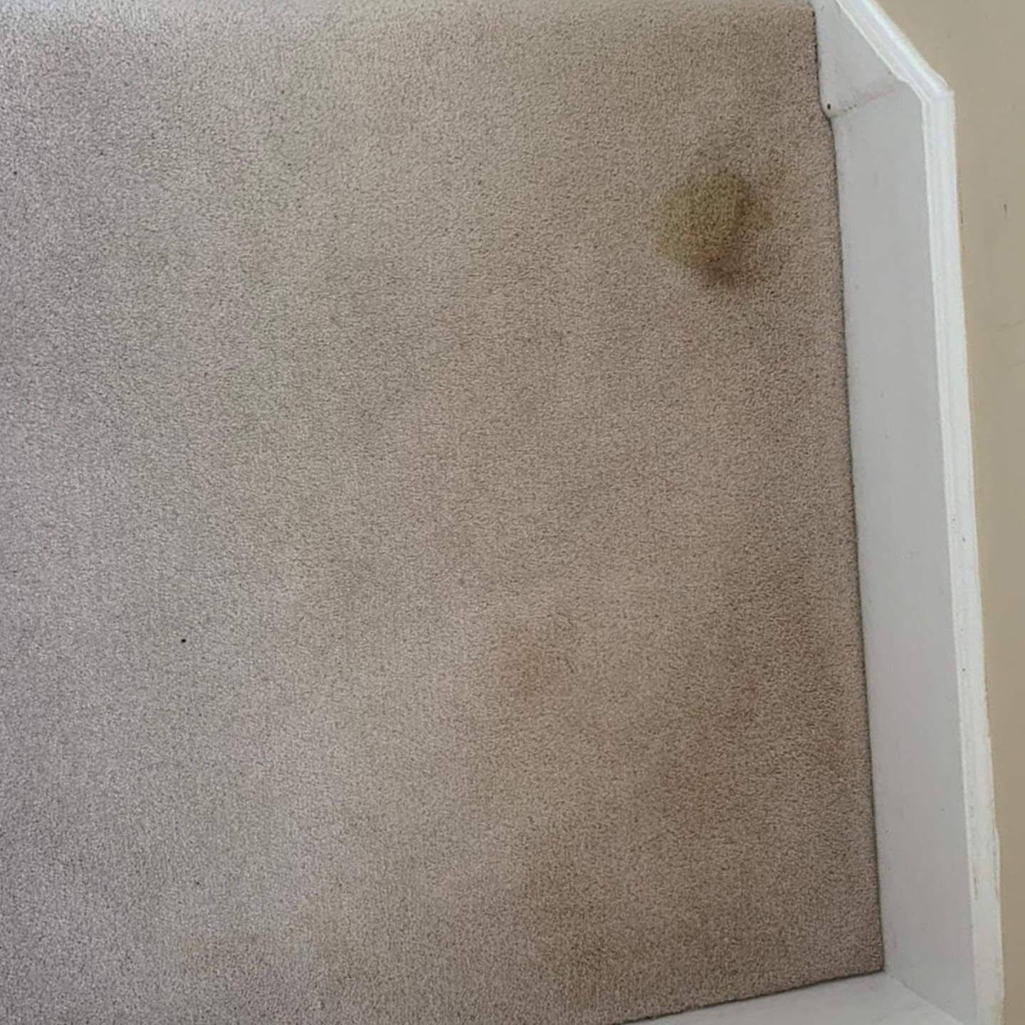 Swipe to remove the stain. This customer had been trying to remove this stain for months! They called our team of specialists in and it disappeared in seconds! Book us for a clean and stain removal treatment 🧼 
______________________________________