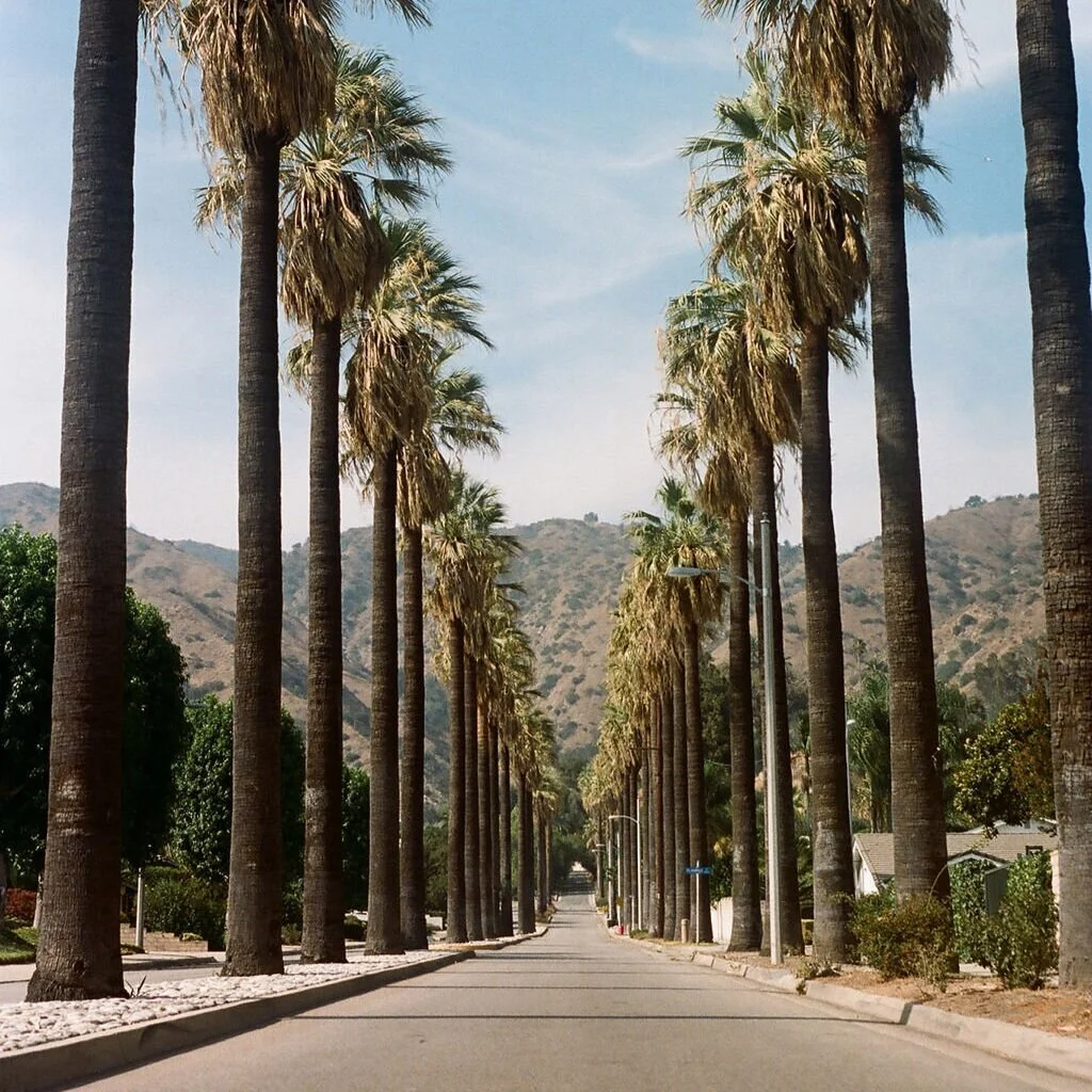 ALMA (Insurance Billing Portal)