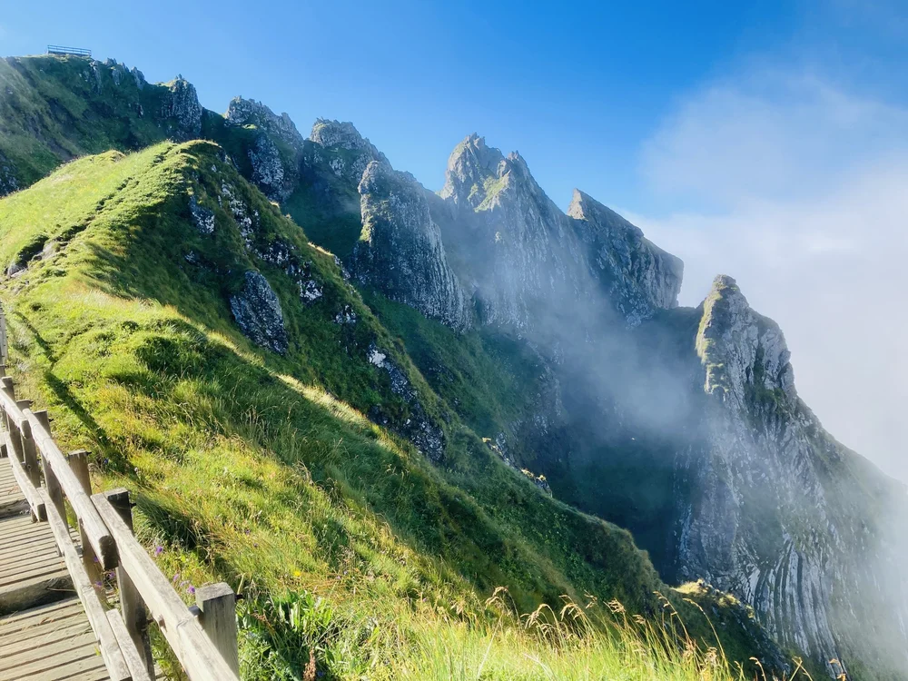 IMG_6161 15.32.14.jpeg