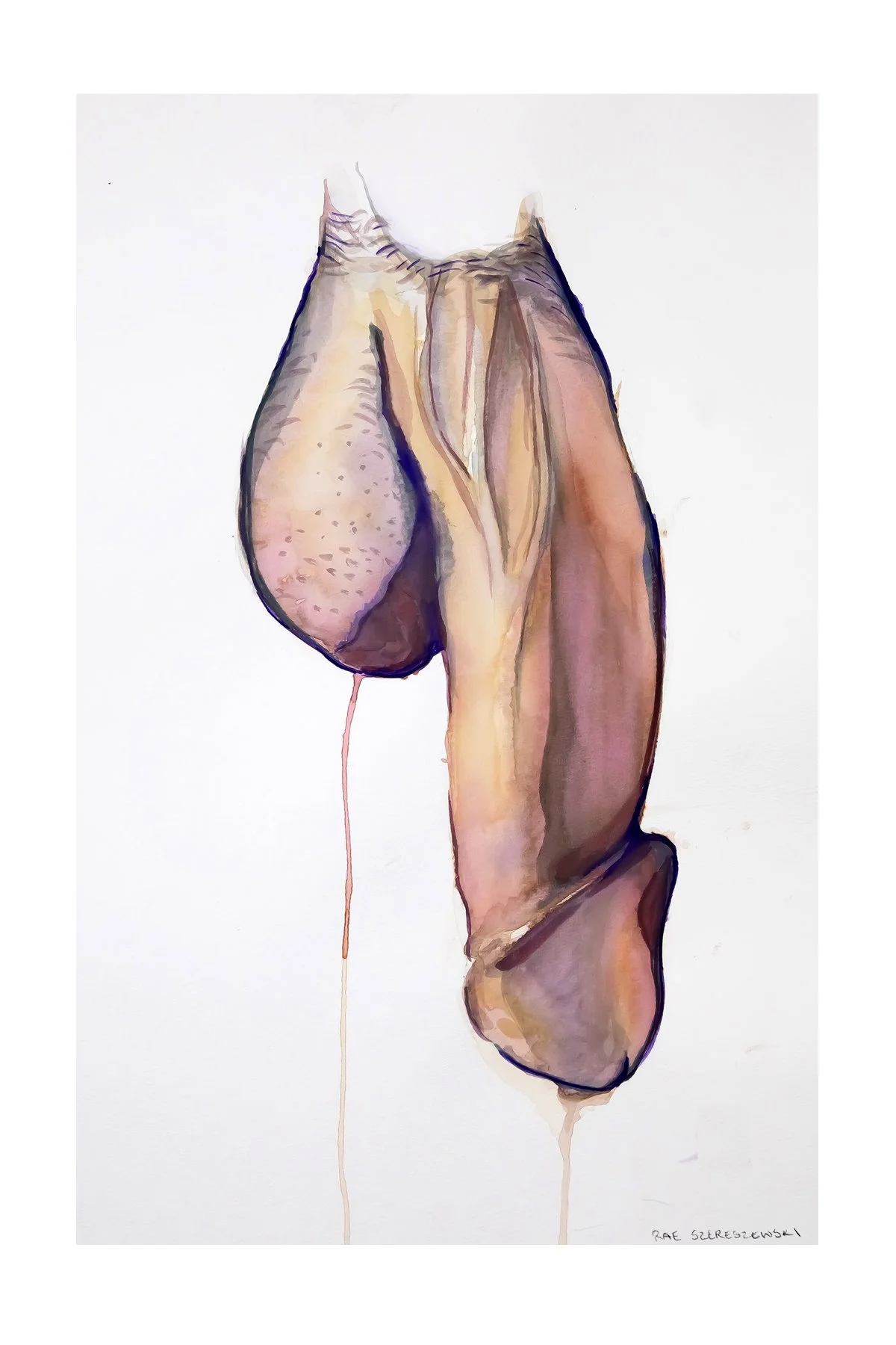 steve with crop 4x6.jpg