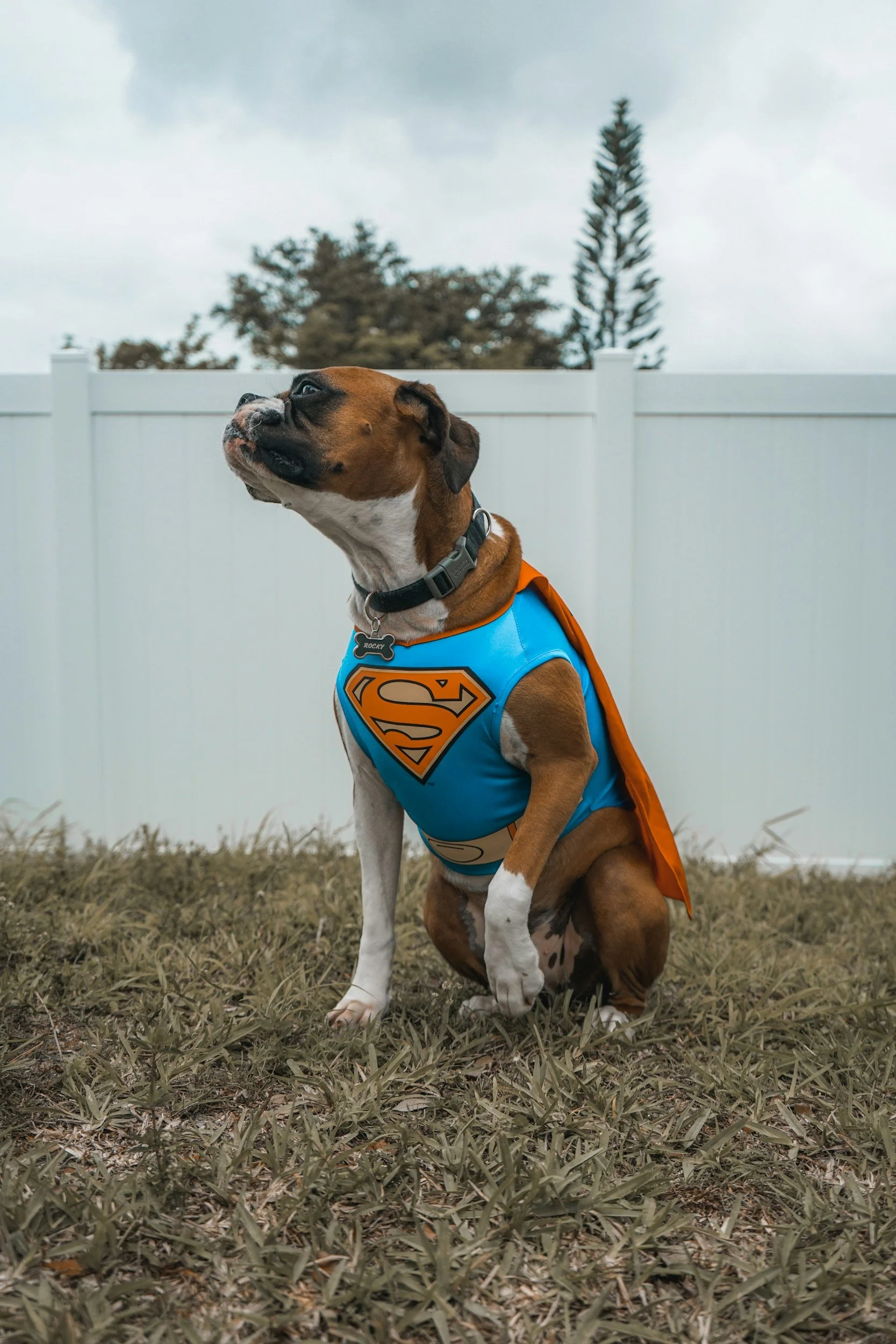 Leveraging Your Crew: Talent is Your Superpower