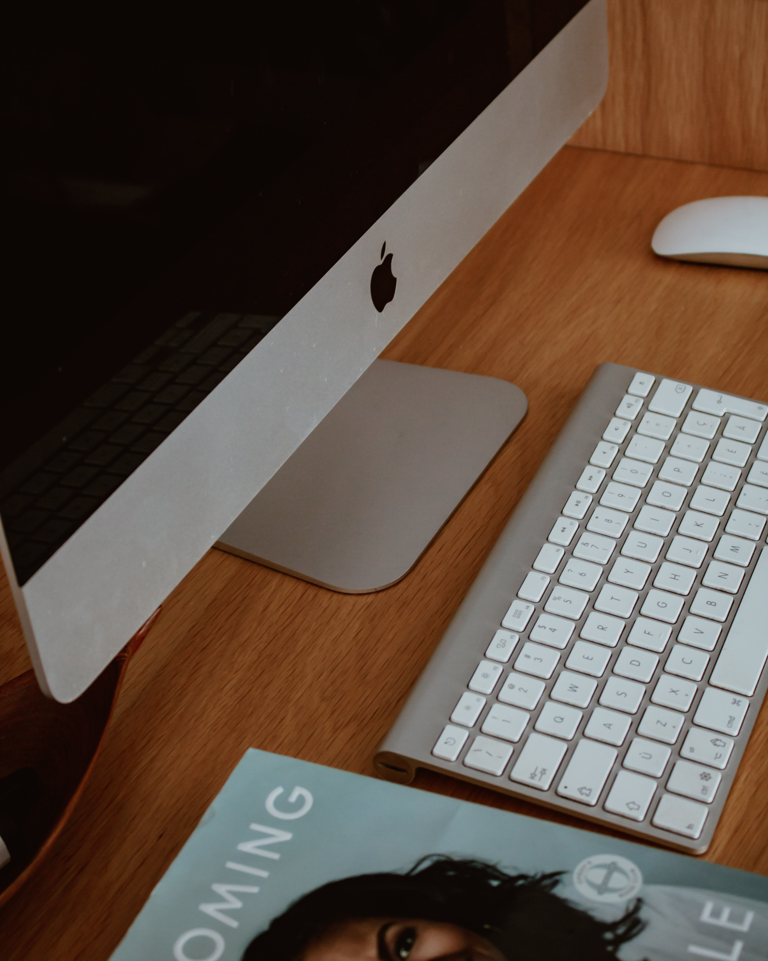 My Office Space Petite And Bold