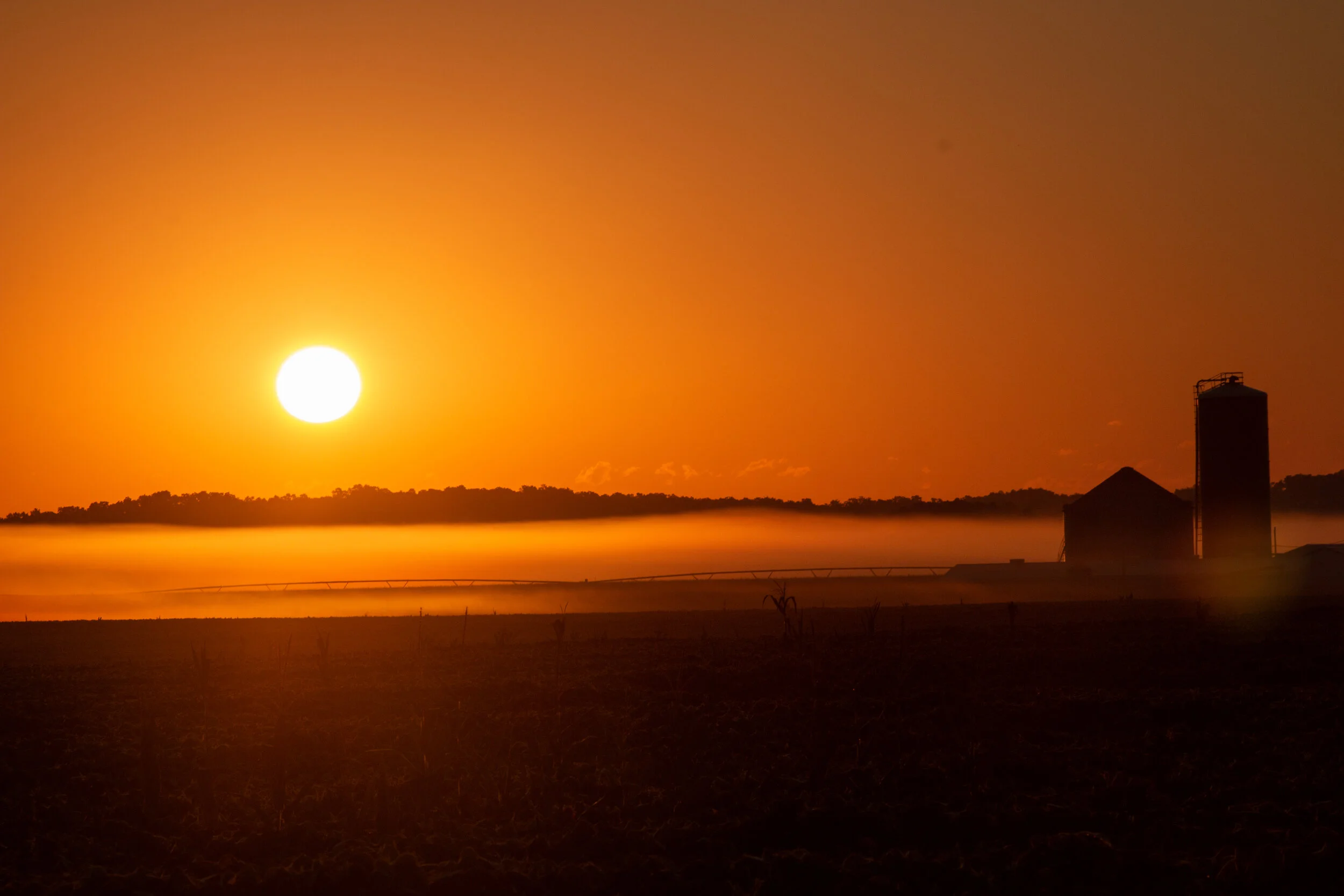 _MG_3231.jpg
