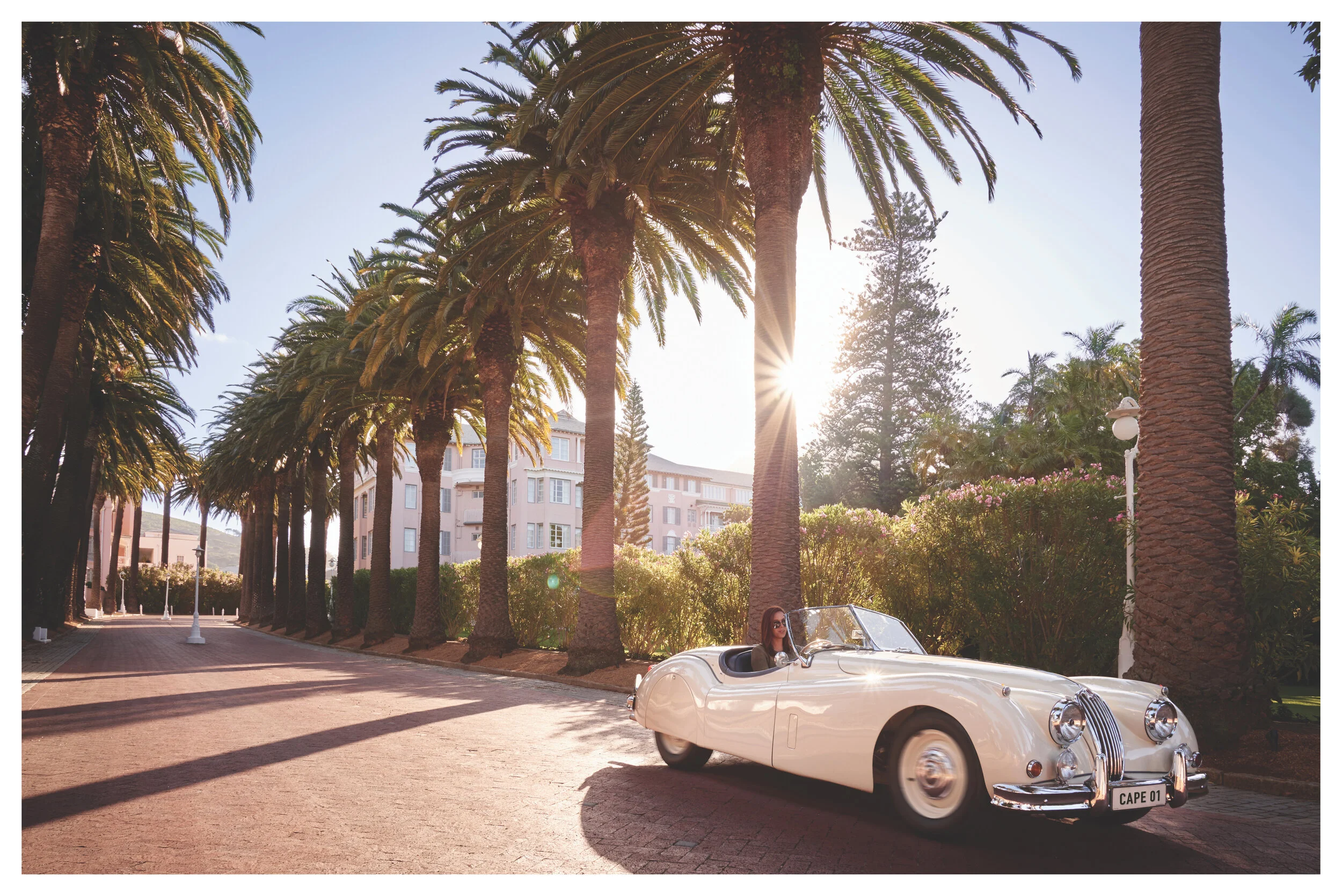 Road to Longevity Summit