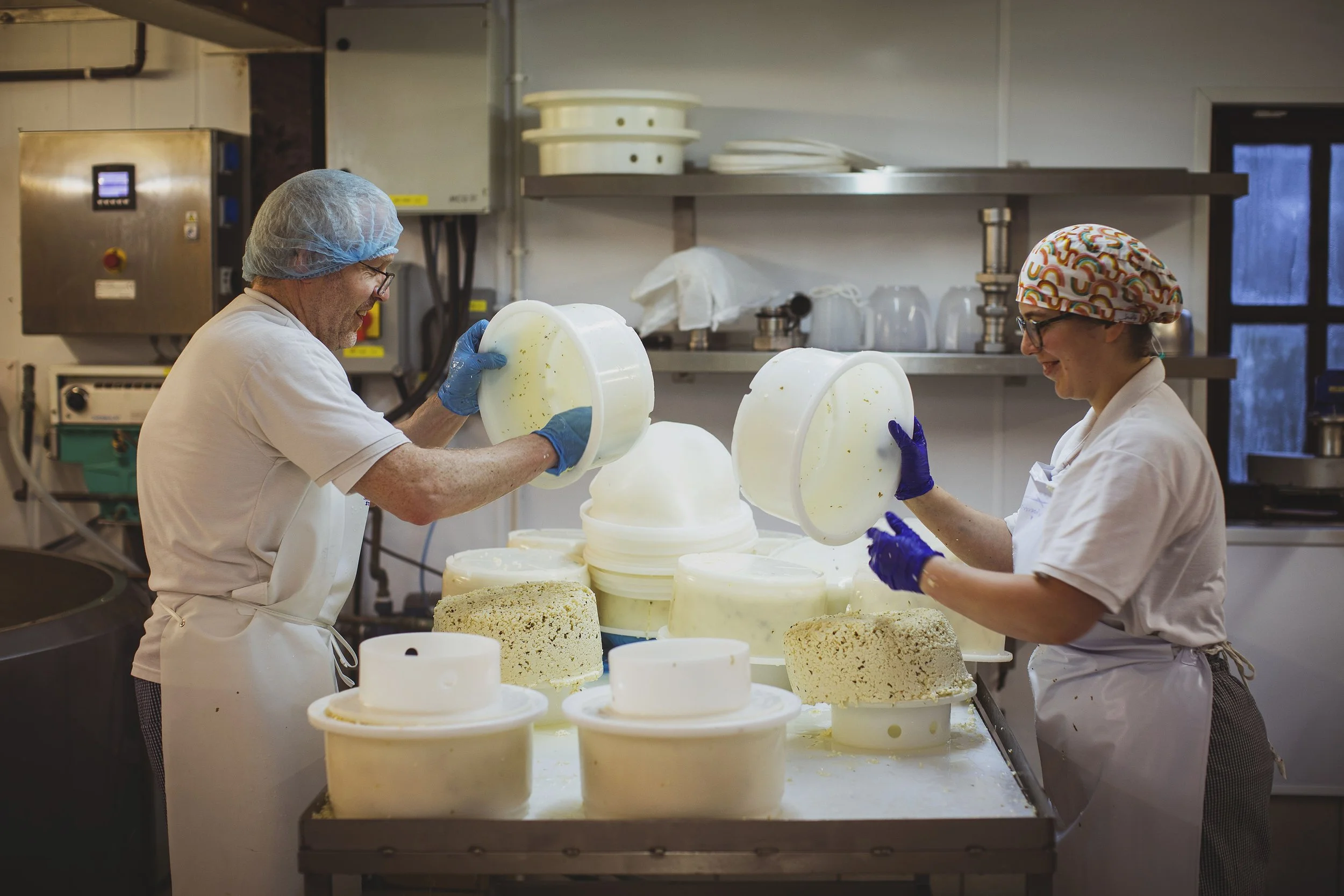 Caws Teifi Cheese Making