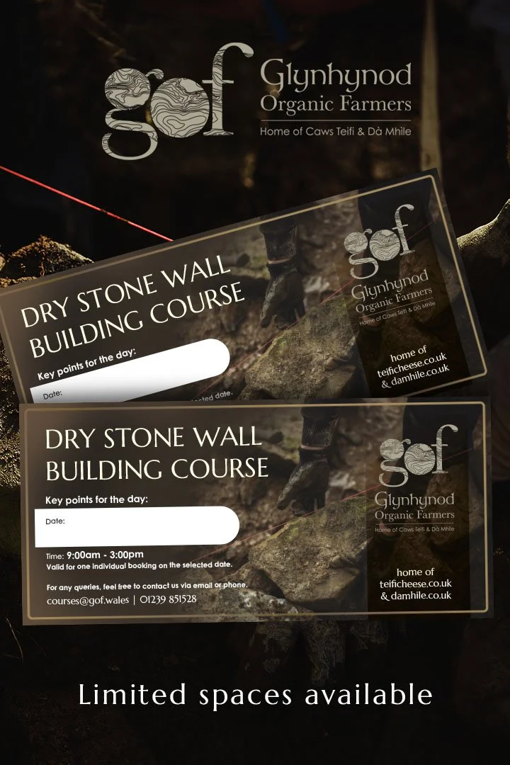 Dry stone wall building course at Glynhynod Farm