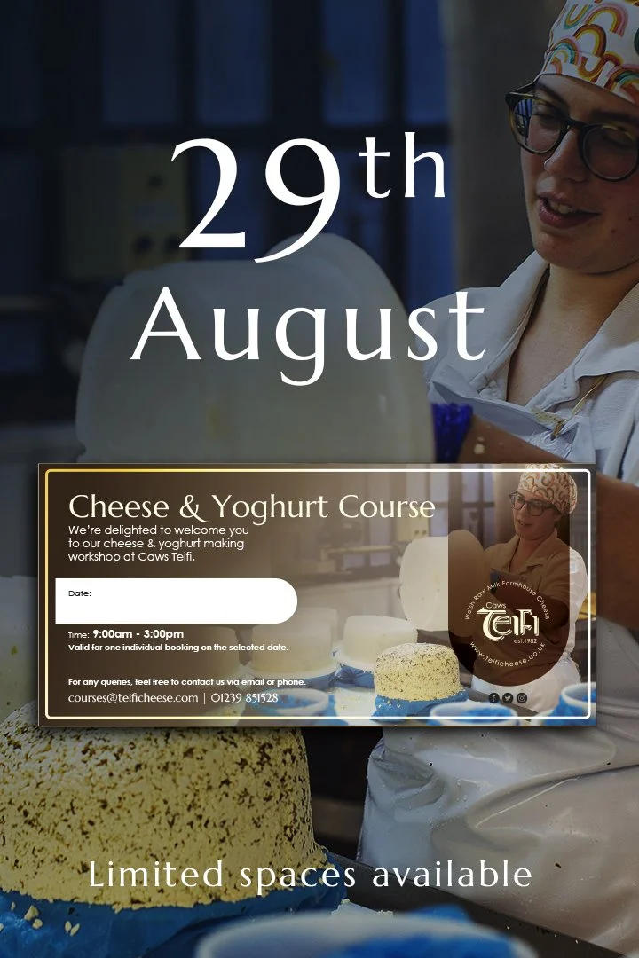 Cheese_course_Main_Products_2026_dates.jpg