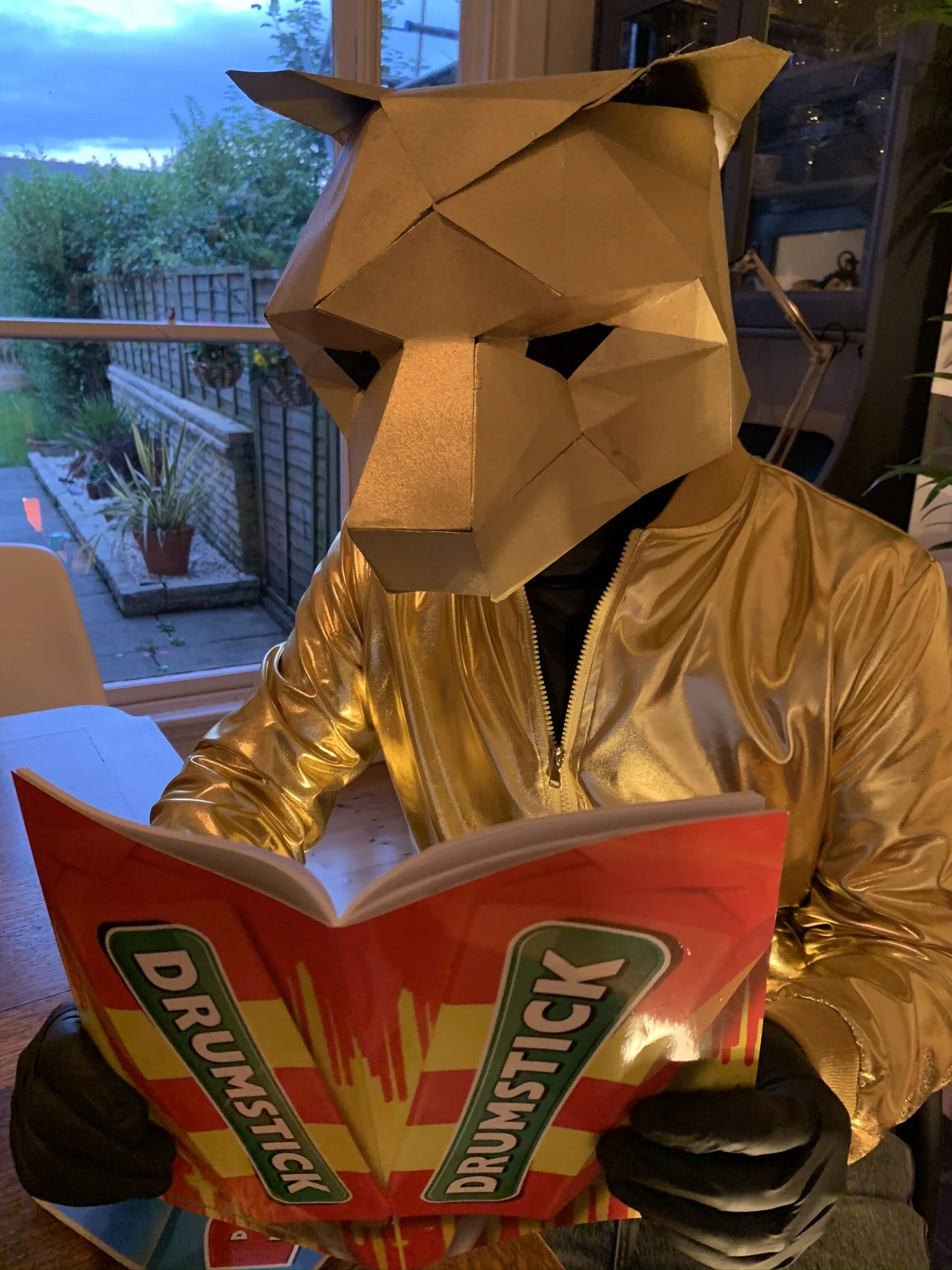 Person wearing a gold mask and a gold shiny jacket reading a book while sitting at a table near a window with a view of a garden and cloudy sky.