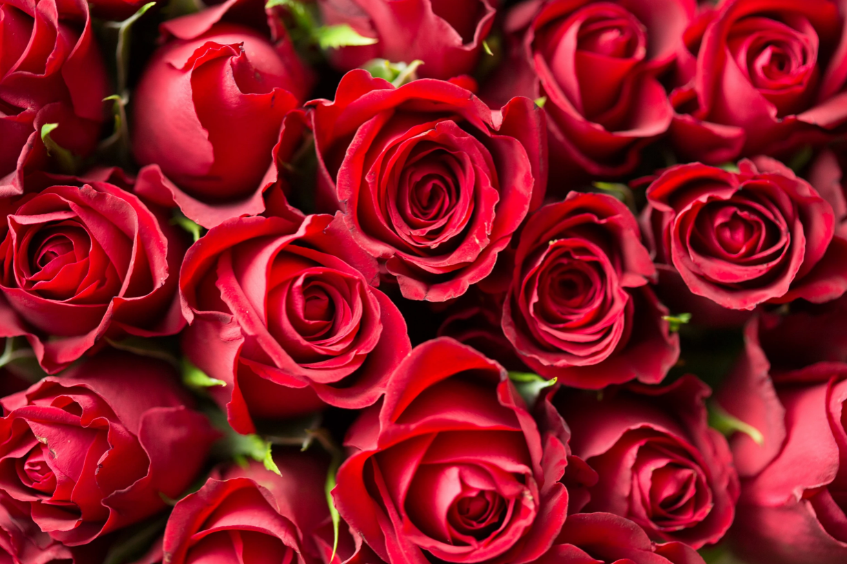 2020 Valentine's Day Bouquets