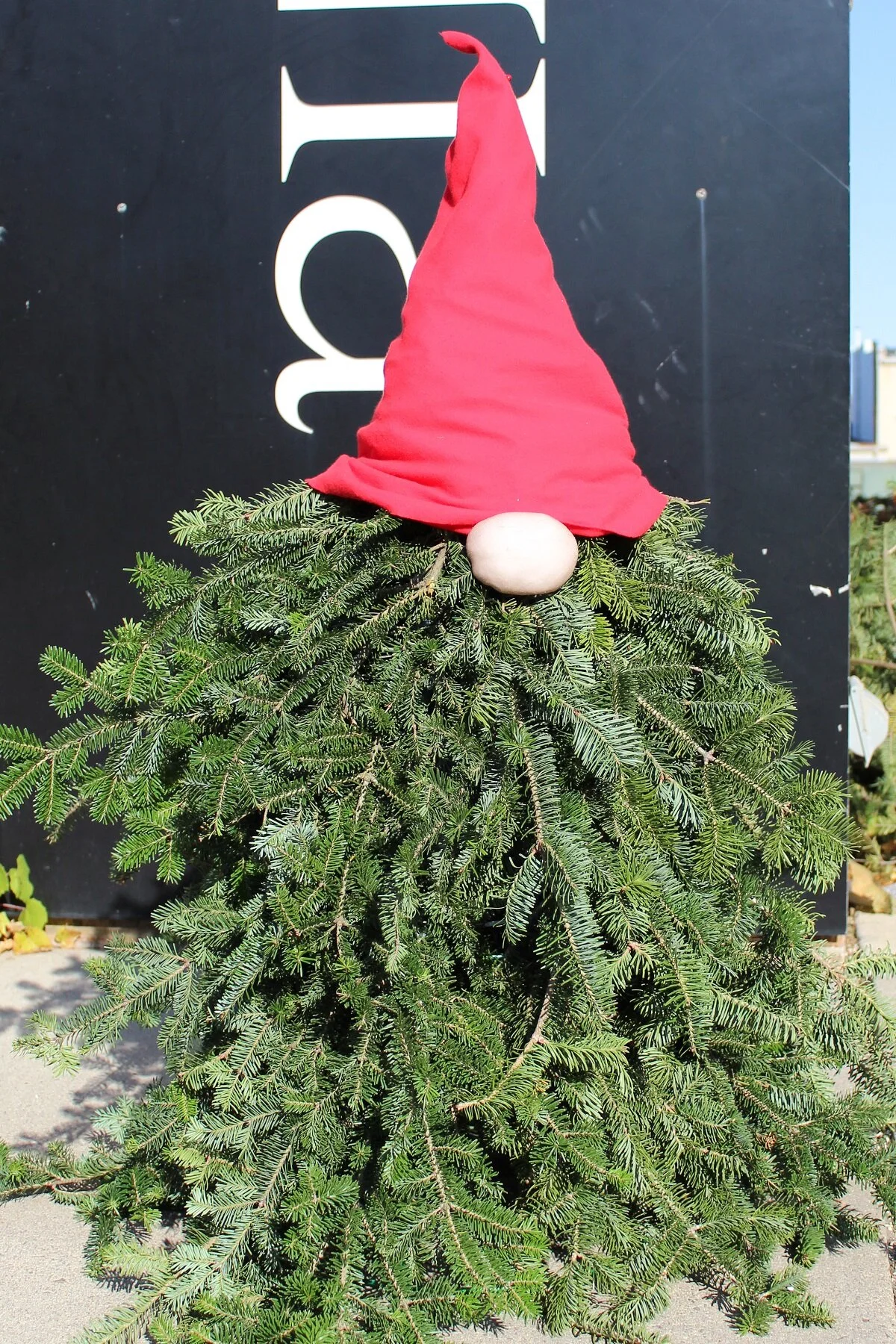 Evergreen Gnome Make &amp; Take Tutorial