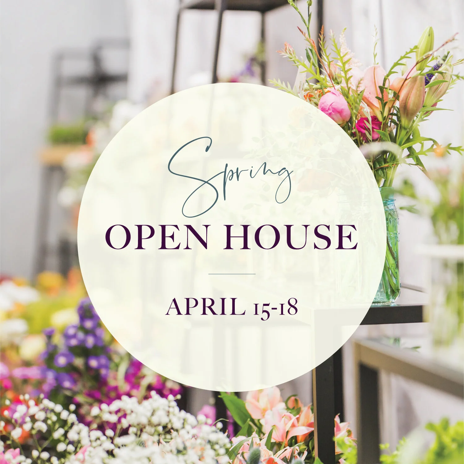 Spring Events &amp; Classes at A to Zinnia