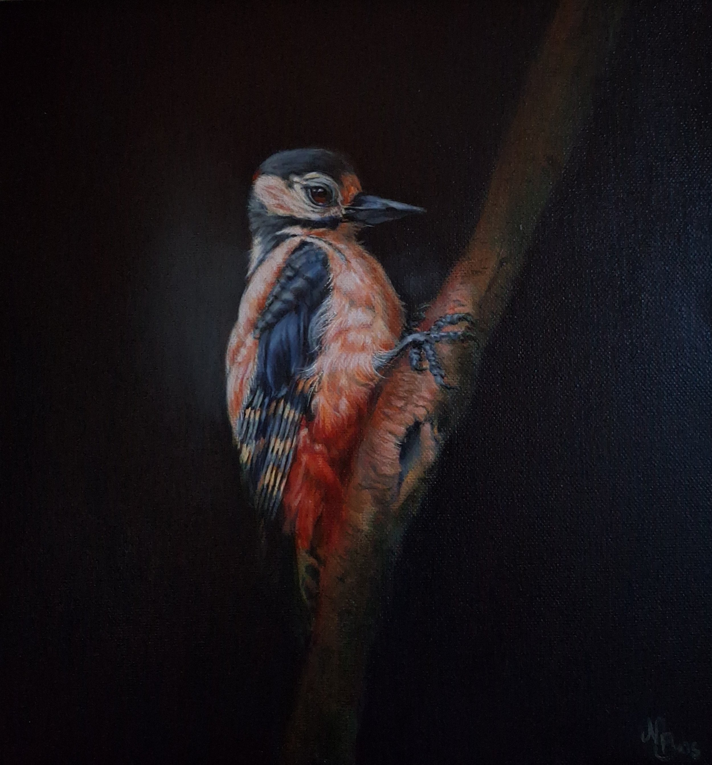 "Forest Sentinel", Winner of The People's Choice