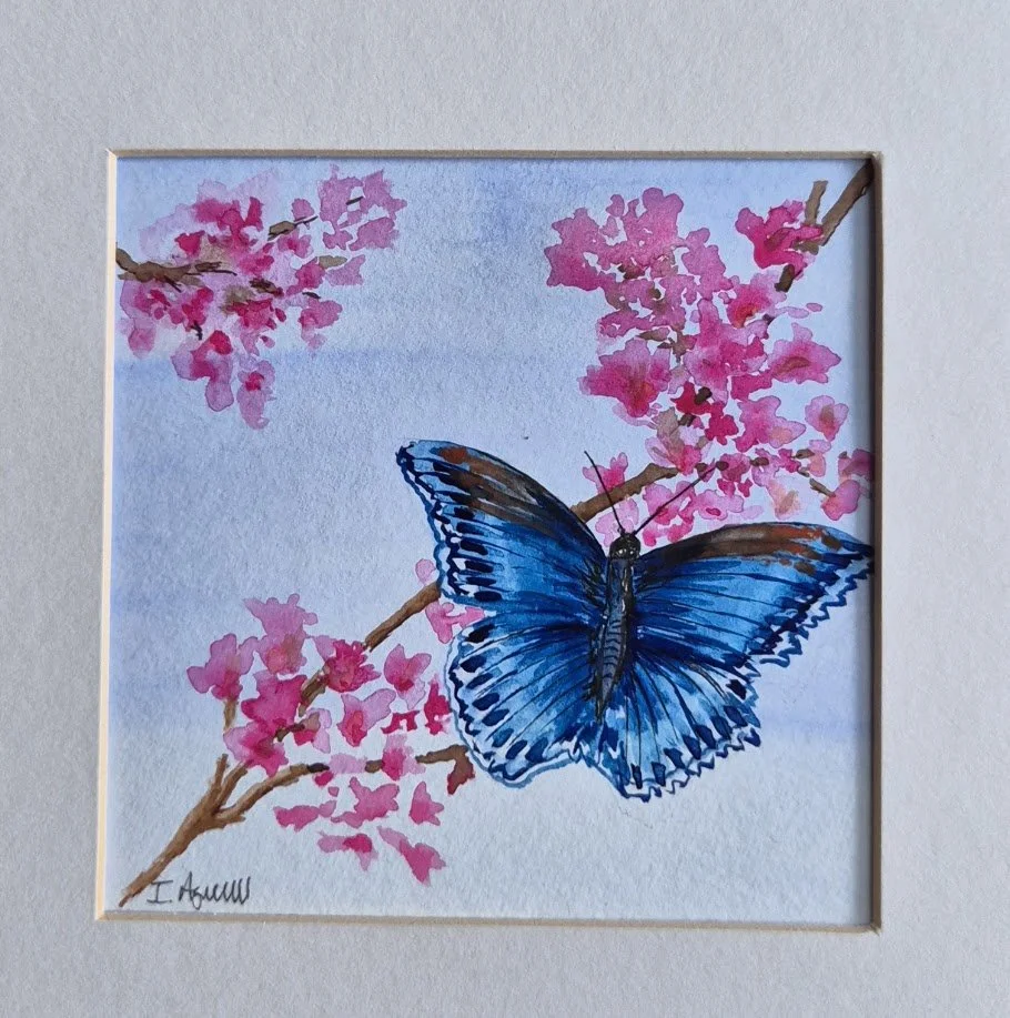 Blue Butterfly