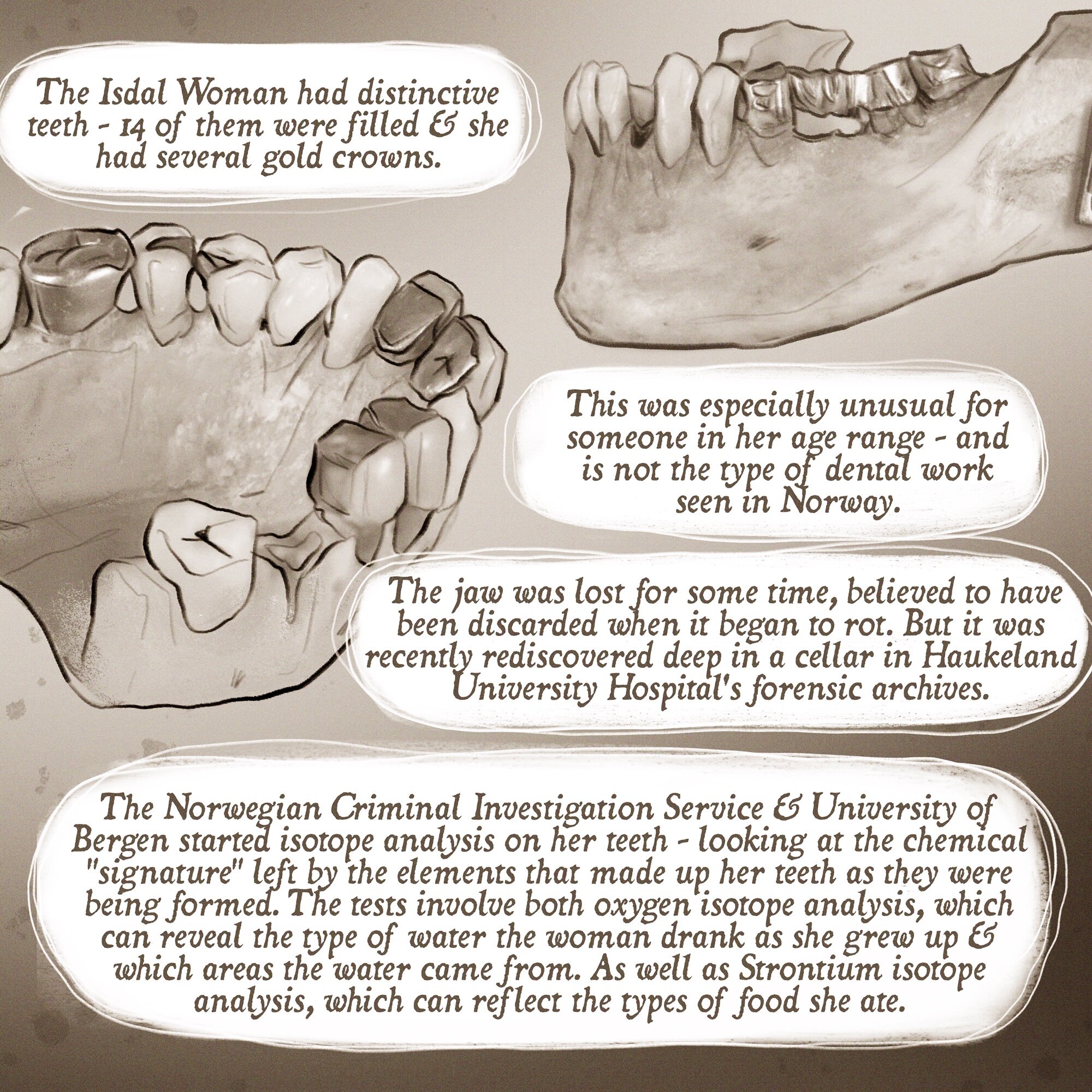 Jaw_.jpg