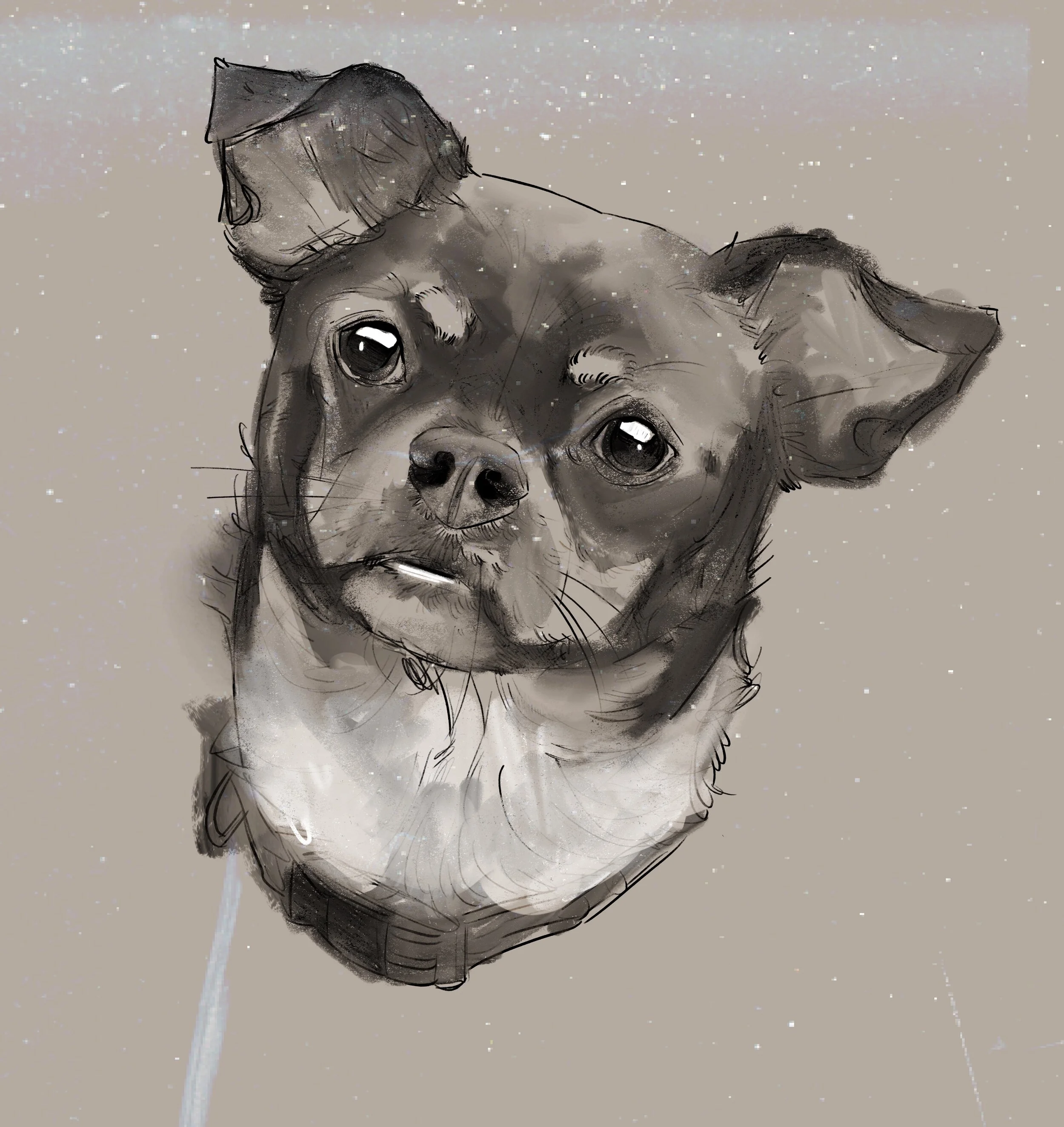 Dave_Commission_.jpg