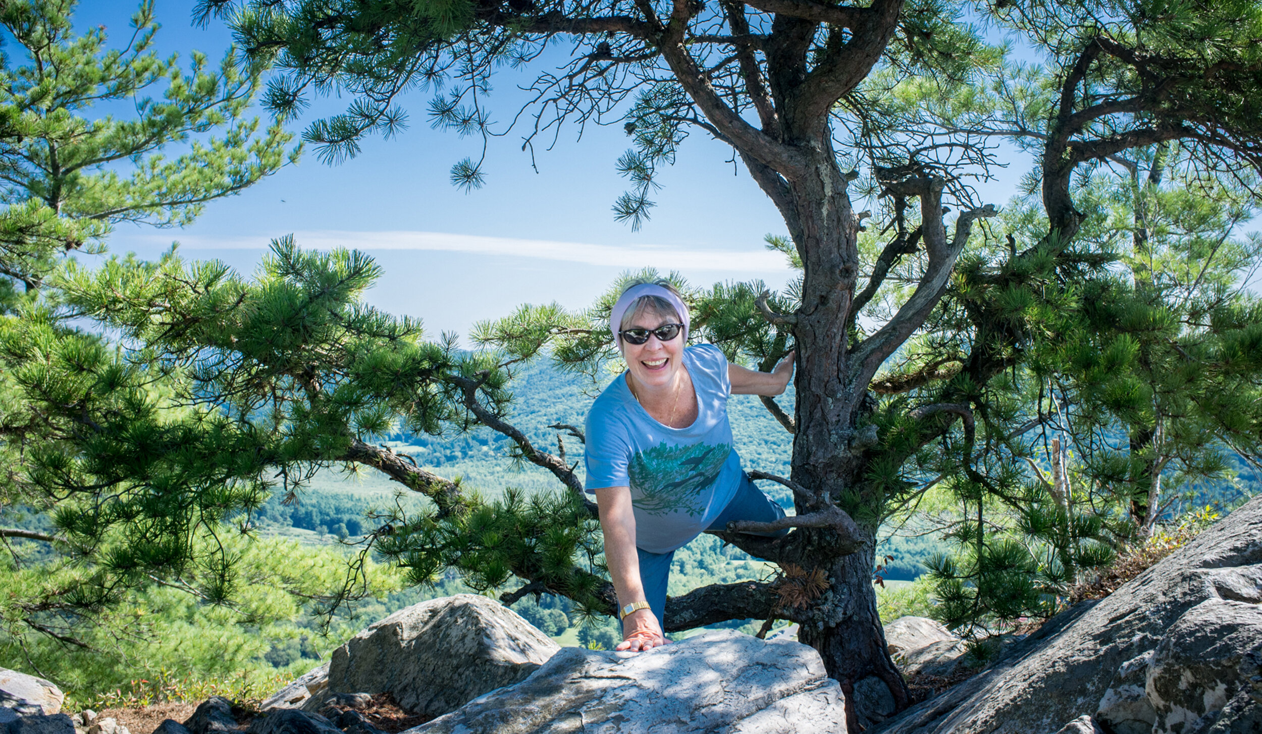 Tree: Partner Dance with Tree on Trail / Stockbridge, MA. Photo: Bob Gates