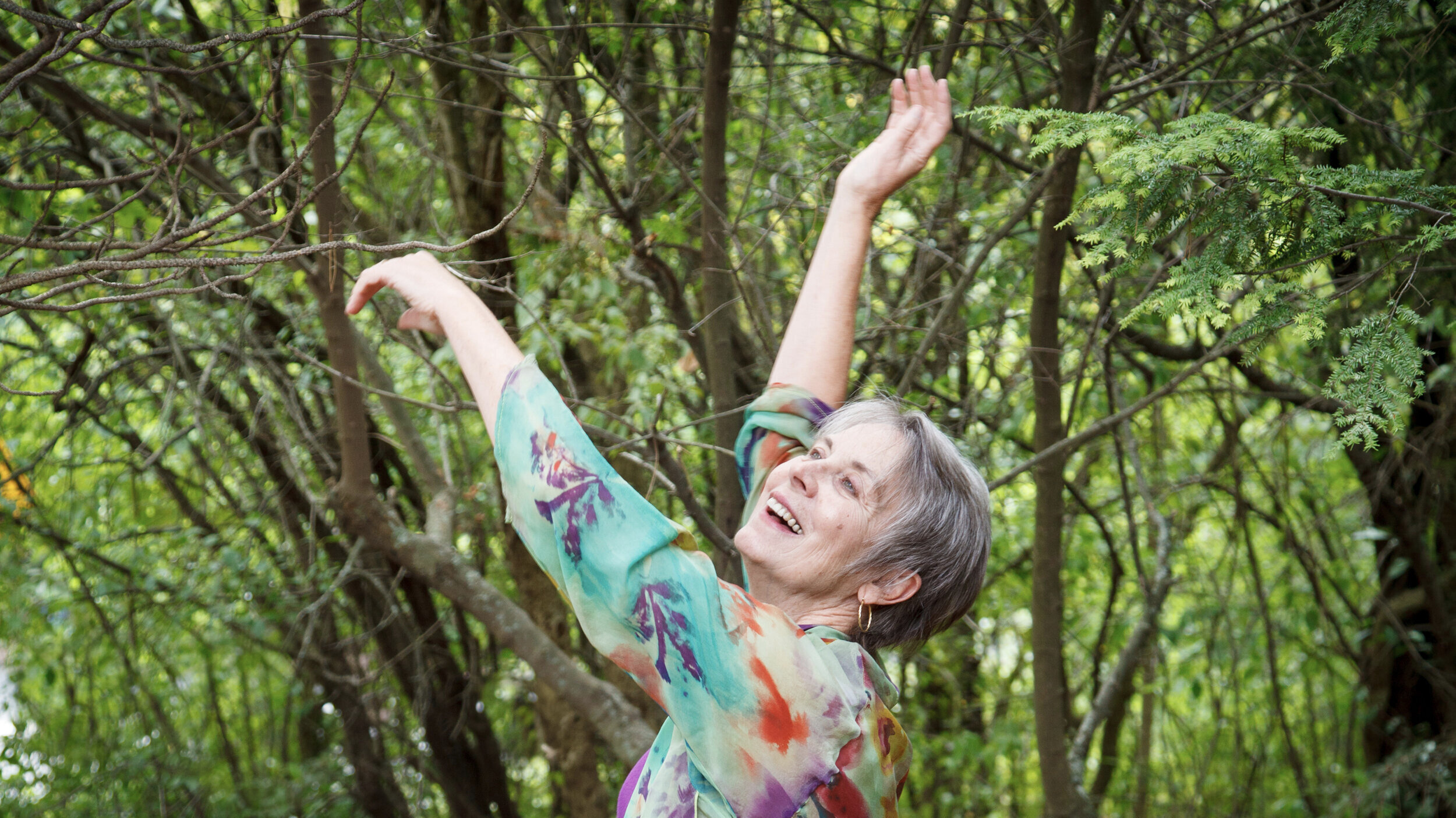 Woods: Dance Play, Jamesville, N.Y. Photo: Bob Gates 