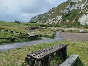 Summer Solstice Celebration / Organized by The Bee Friendly Trust and joined by White Cliffs Countryside Partnership at Samphire Hoe / Curated by Dr. Luke Dixon&nbsp;