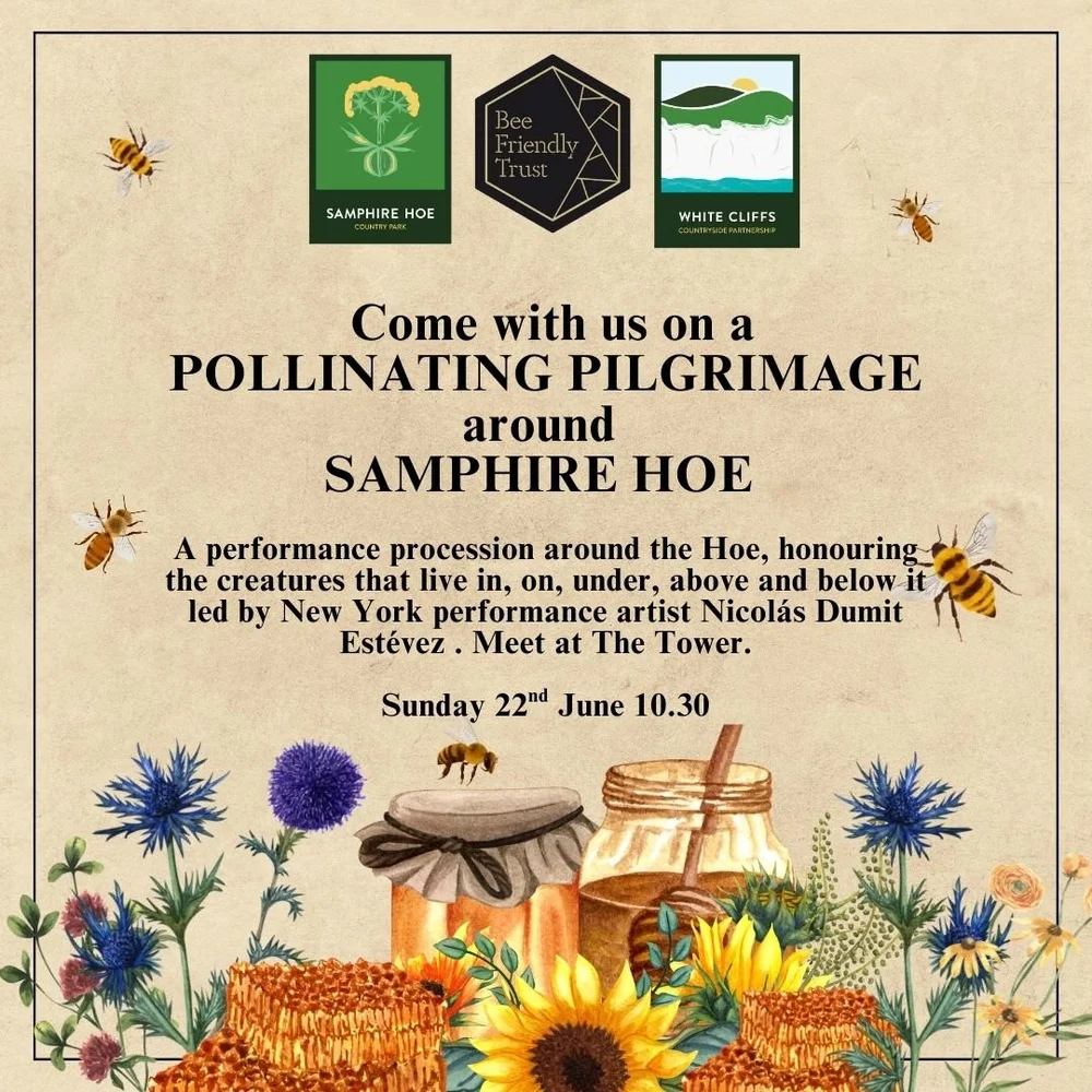 Happenings — The Interior Beauty Salon