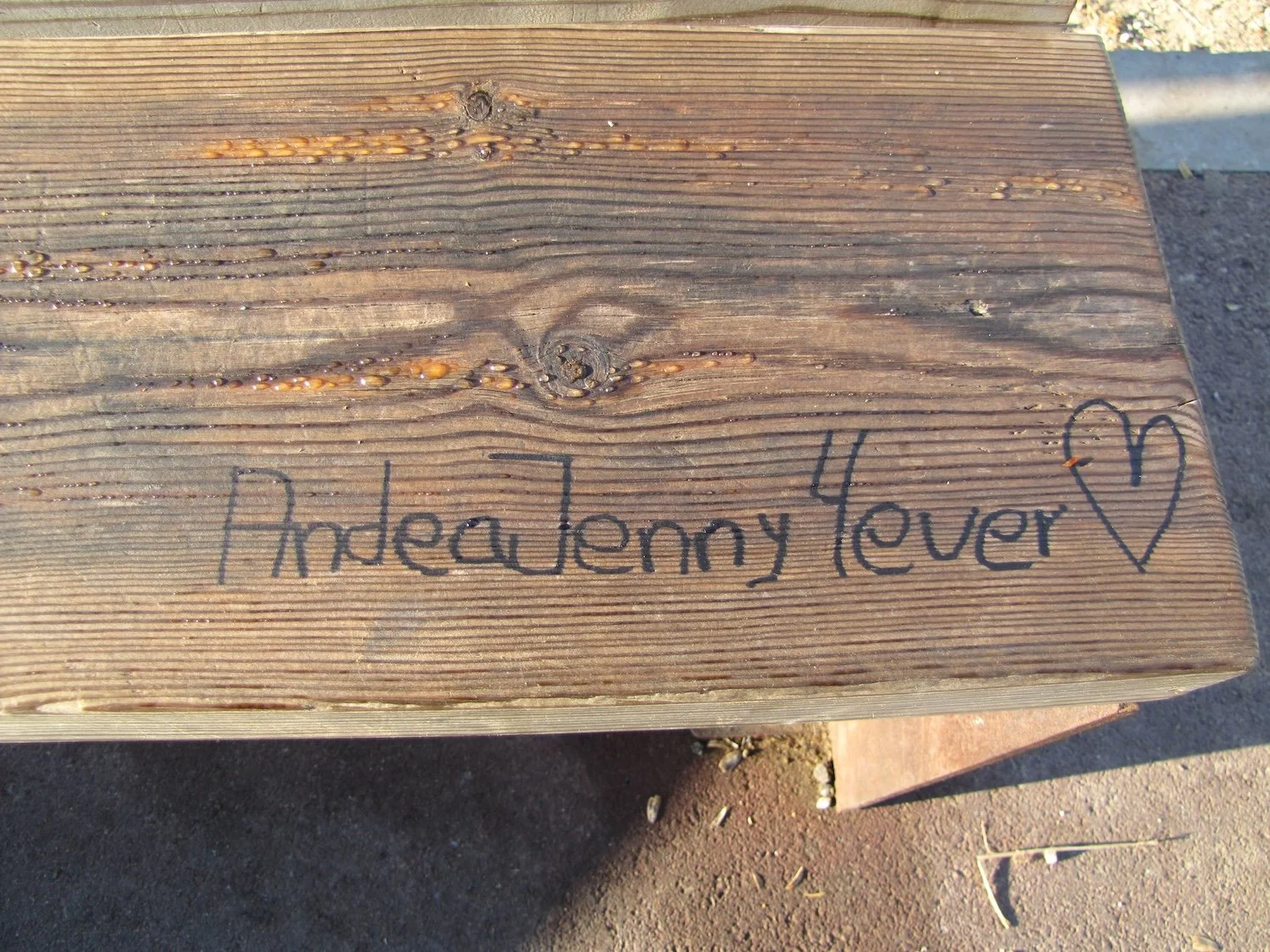 anna_recasens_03 copy.JPG