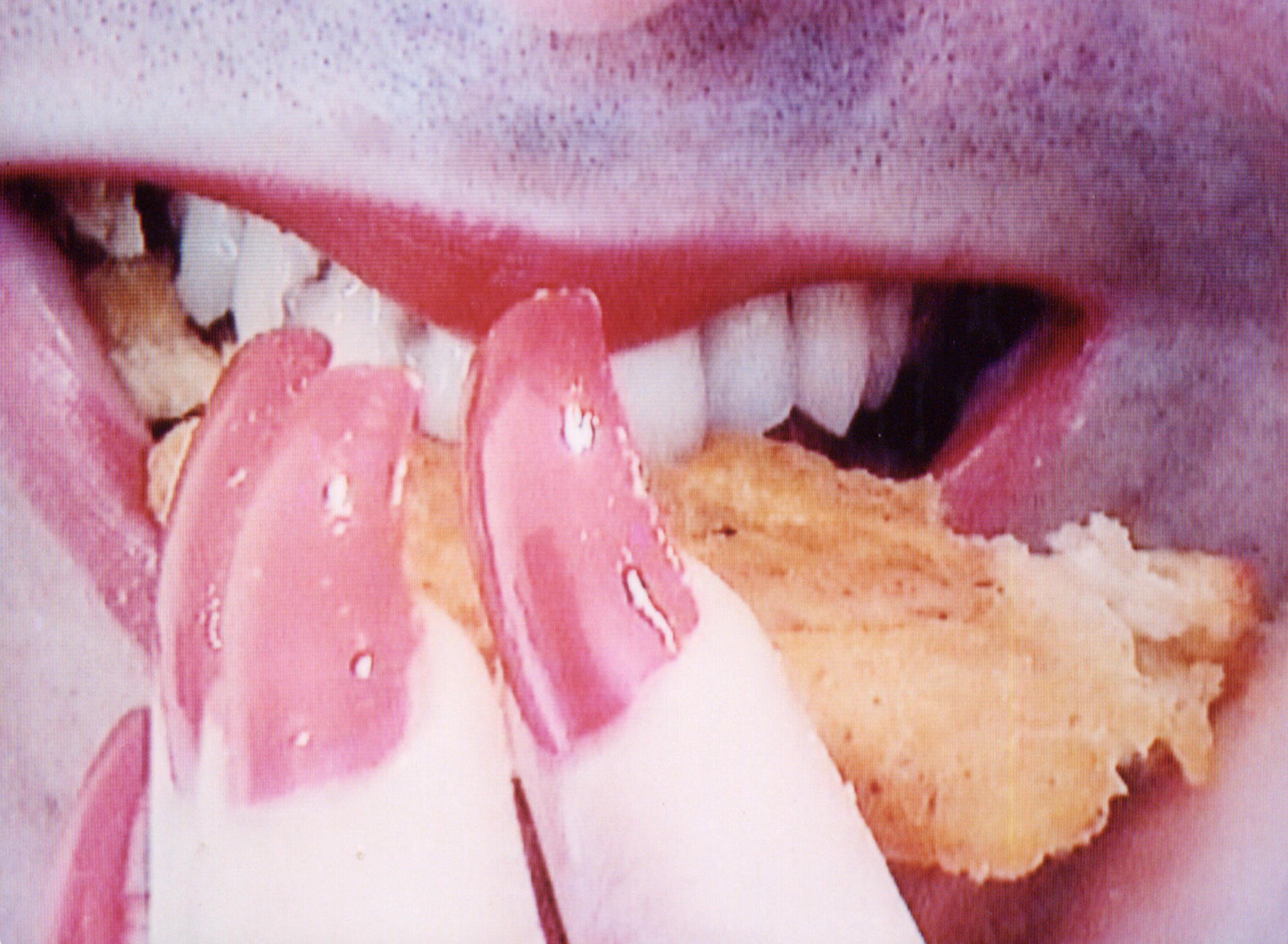  Nicolás Dumit Estévez,  USA Paradisiaca , 2001, performance/mixed media, various dimensions  