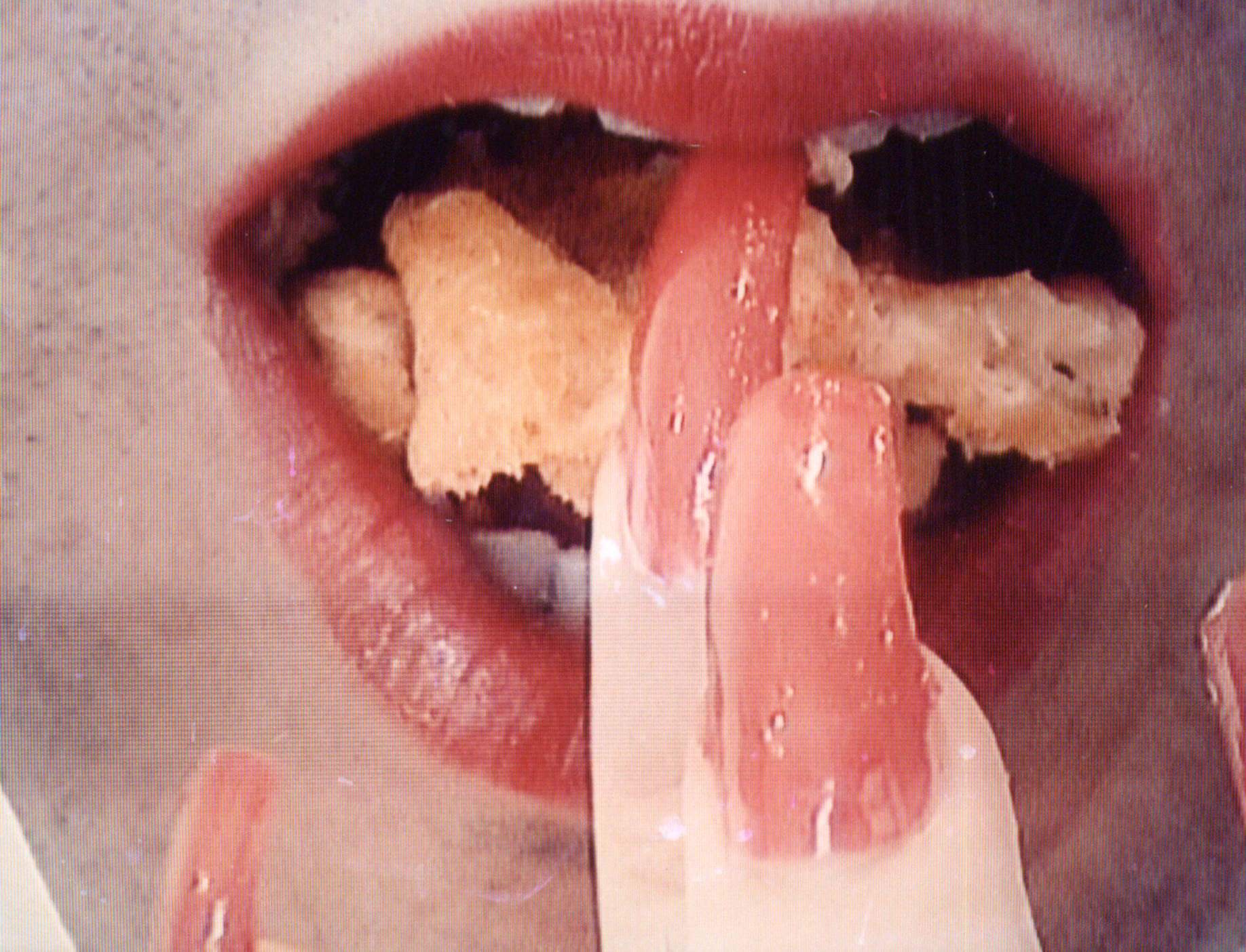  Nicolás Dumit Estévez,  USA Paradisiaca , 2001, performance/mixed media, various dimensions  