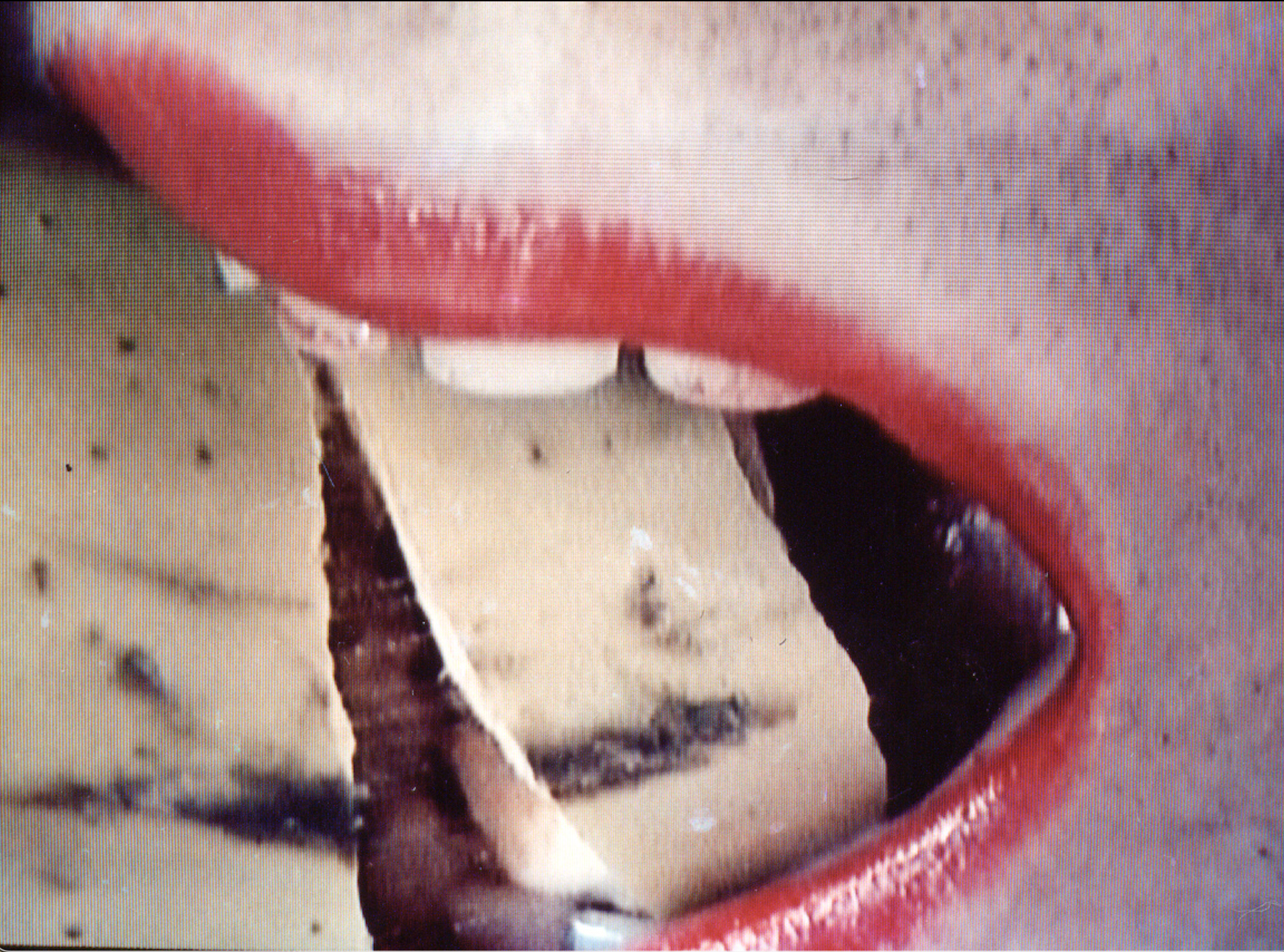  Nicolás Dumit Estévez,  USA Paradisiaca , 2001, performance/mixed media, various dimensions 