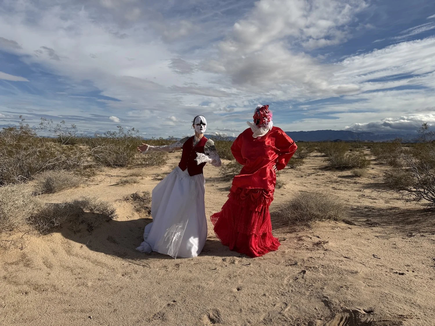  Photograph: Jorge Davies 