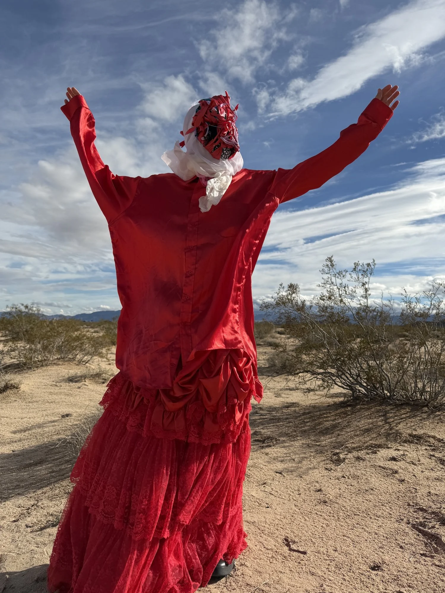  Photograph: Jorge Davies 