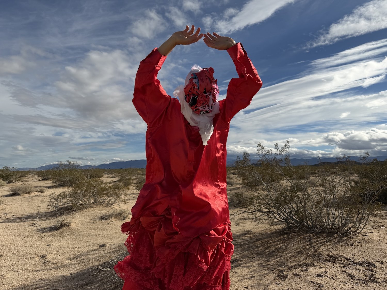  Photograph: Jorge Davies 