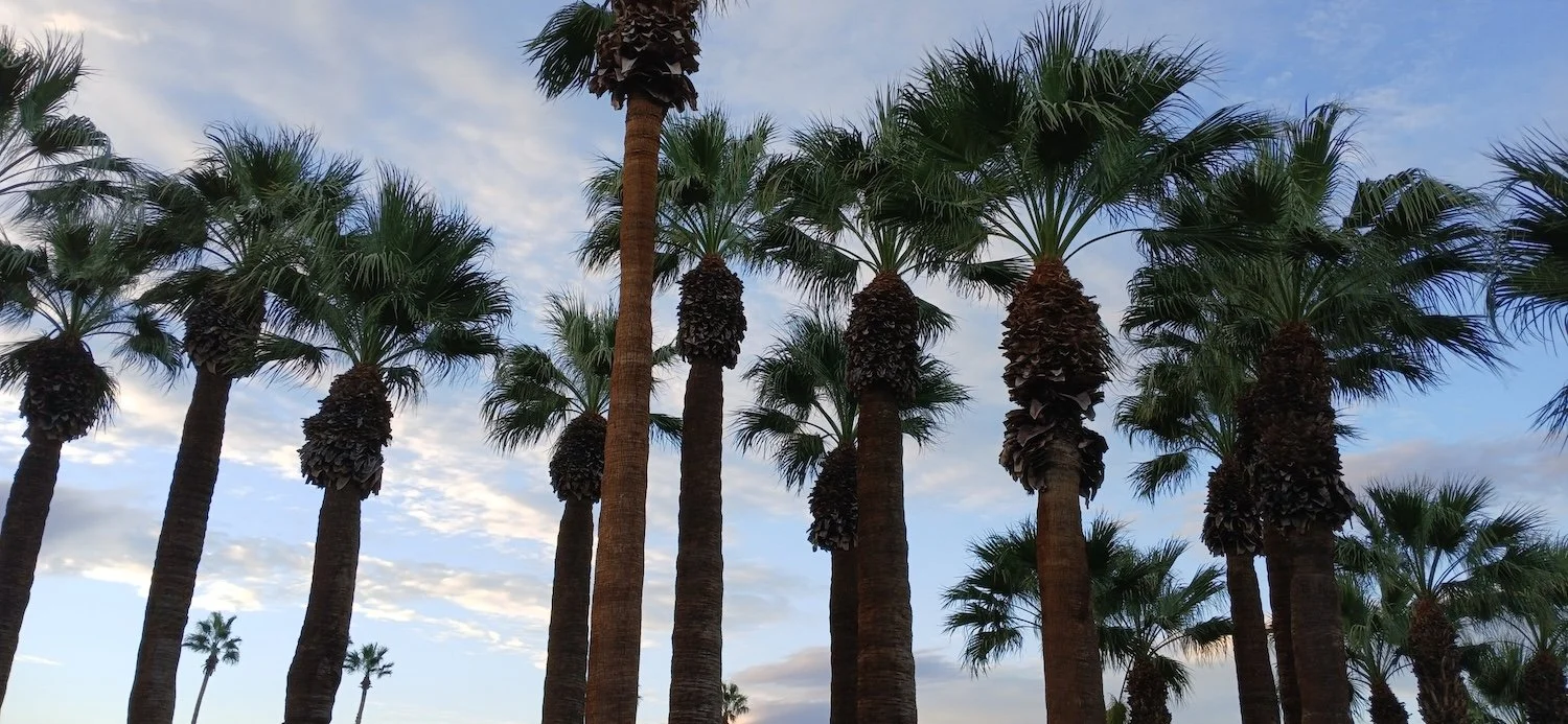  Photograph: Nicolás Dumit Estévez Raful 