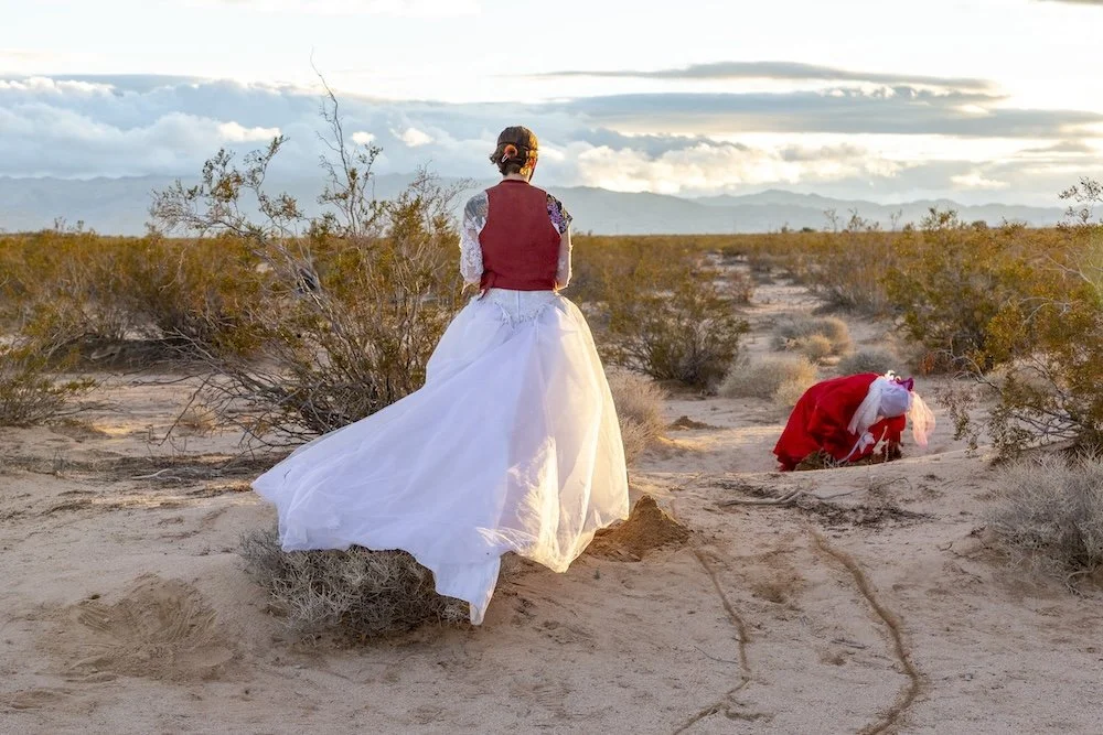  Photograph: Sarah Lyon 