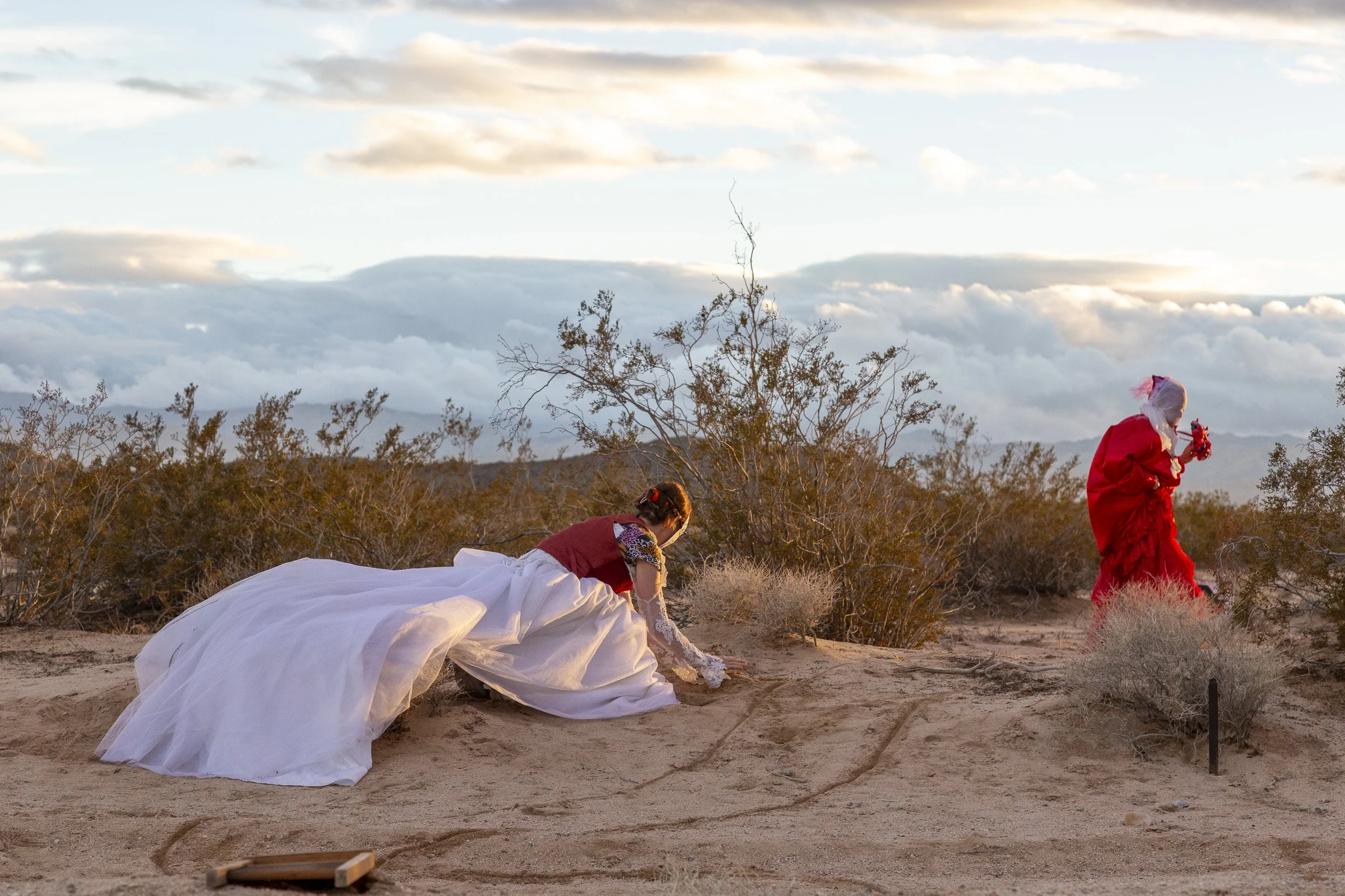  Photograph: Sarah Lyon 