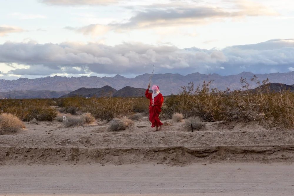  Photograph: Sarah Lyon 