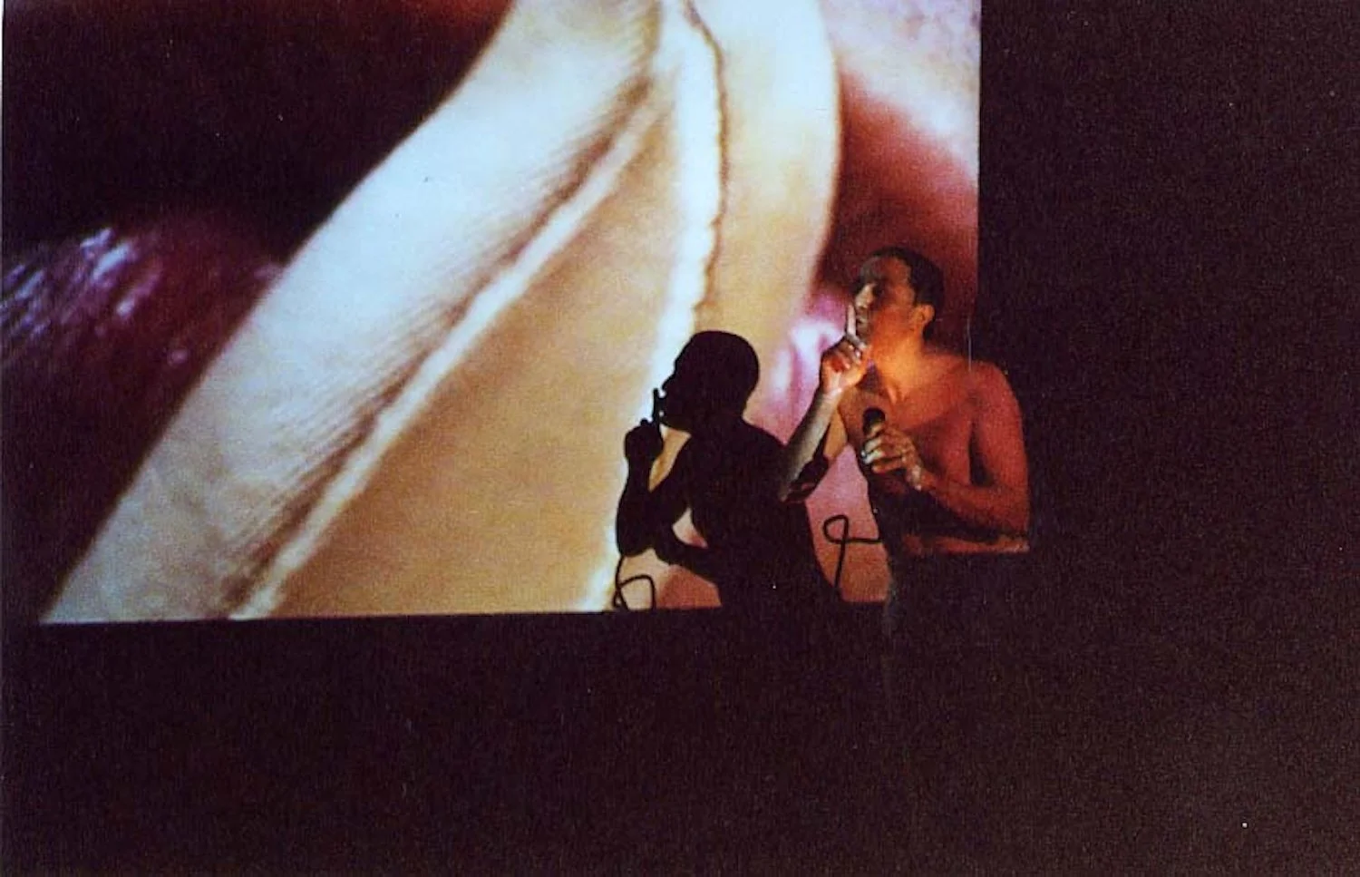  Nicolás Dumit Estévez,  Cavum Gloriosum , 2001, performance / Photo: Marco Fedele di Catrano 