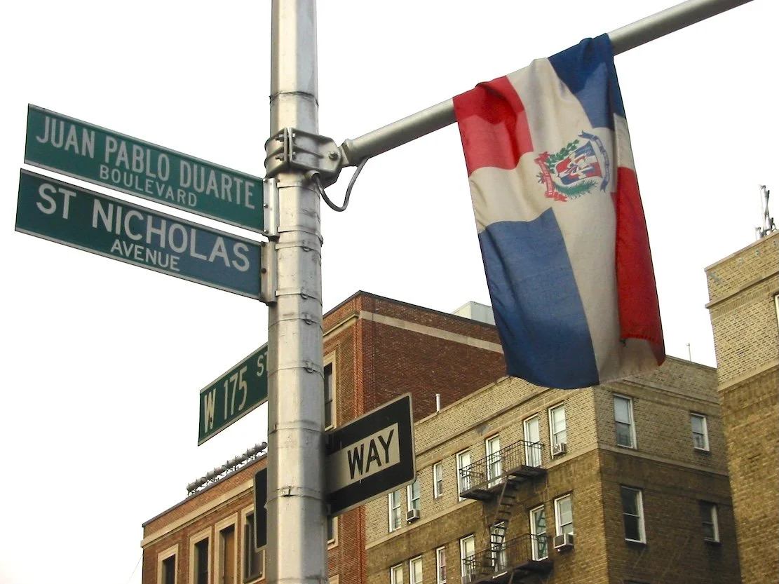  Nicolás Dumit Estévez,  The Flag , 2002-2006  