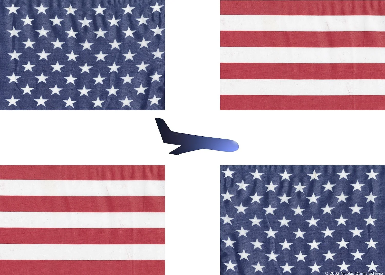  Nicolás Dumit Estévez,  The Flag , 2002-2006  