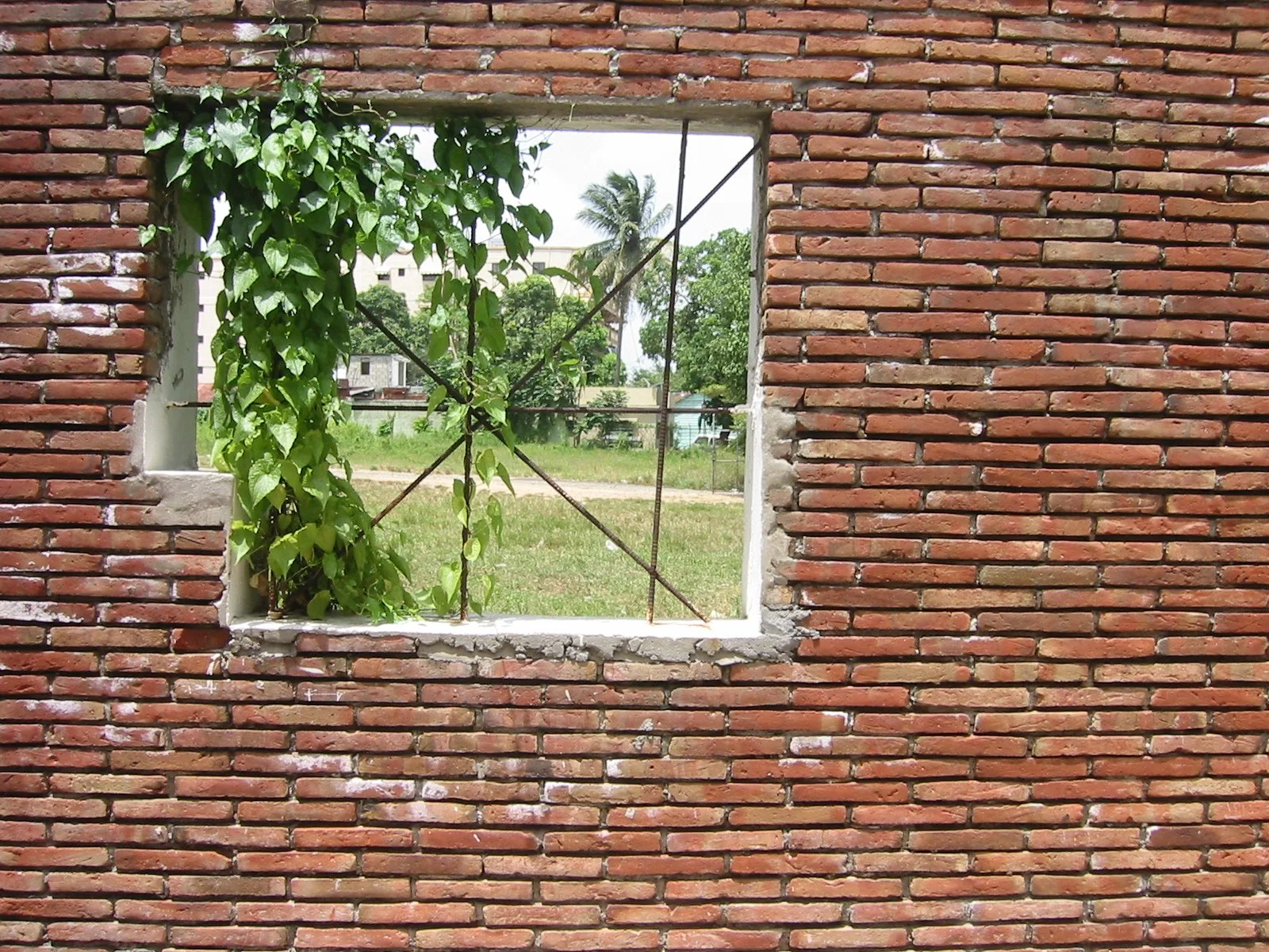  Nicolás Dumit Estévez,  Viewing , 2006 