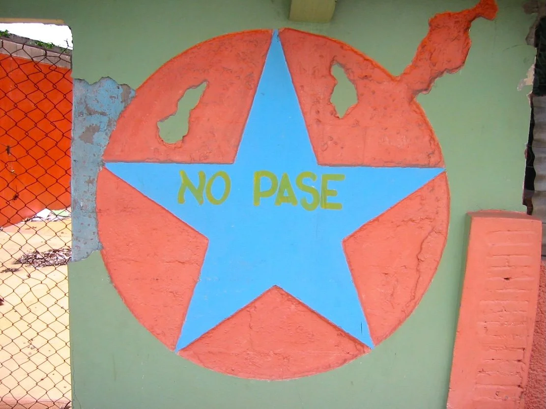 Nicolás Dumit Estévez, Viewing, 2006