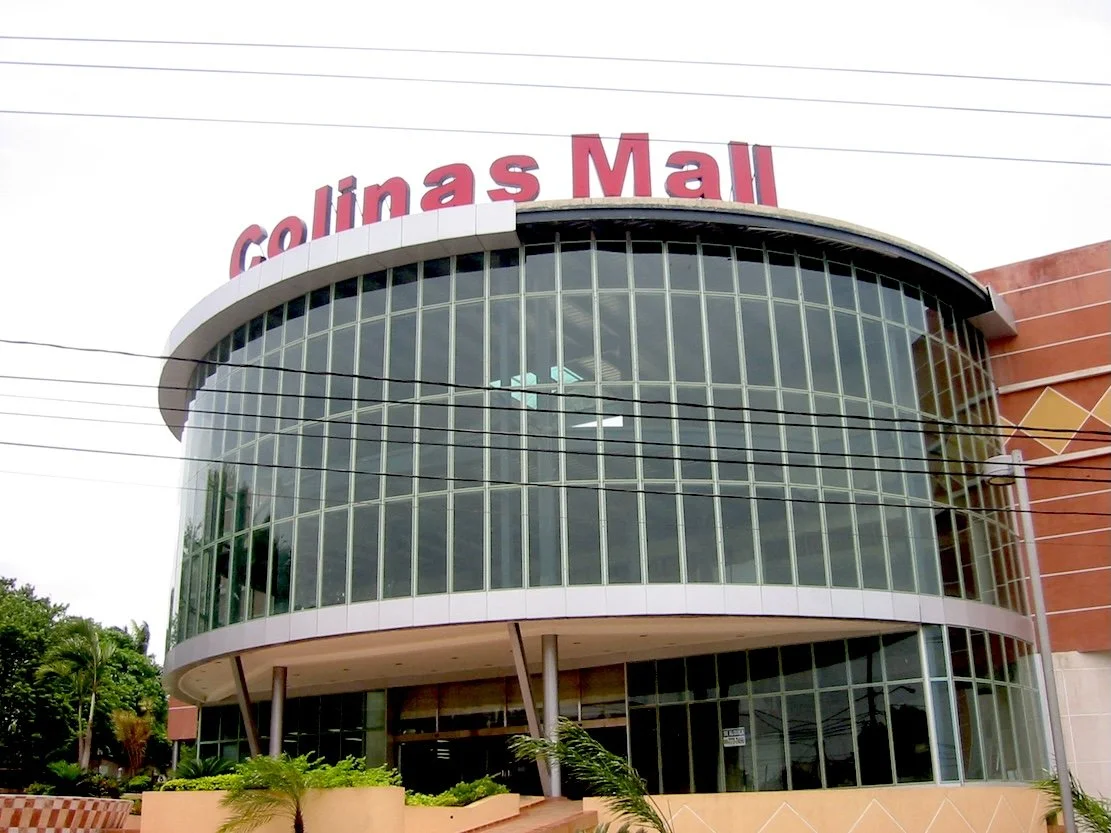  Nicolás Dumit Estévez,  Viewing , 2006 