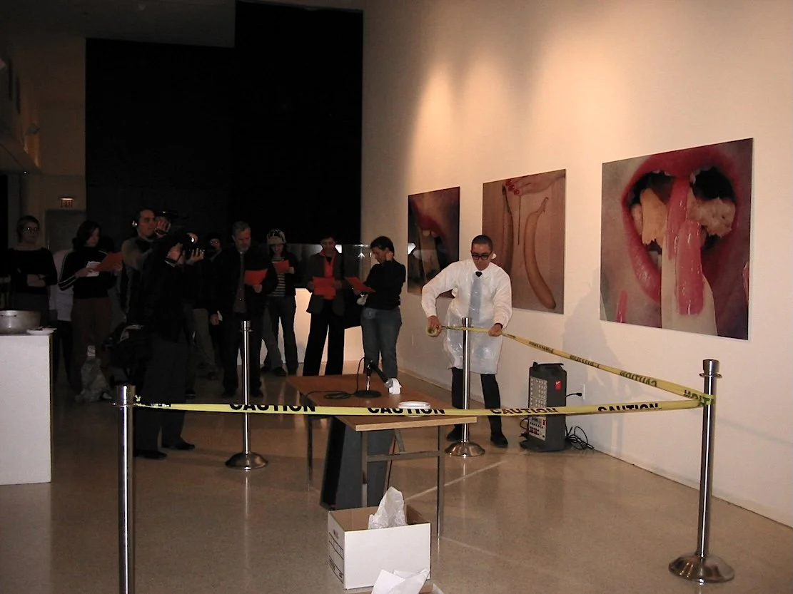  Nicolás Dumit Estévez, Nicolás Dumit Estévez,  Orange Alert,  2004 