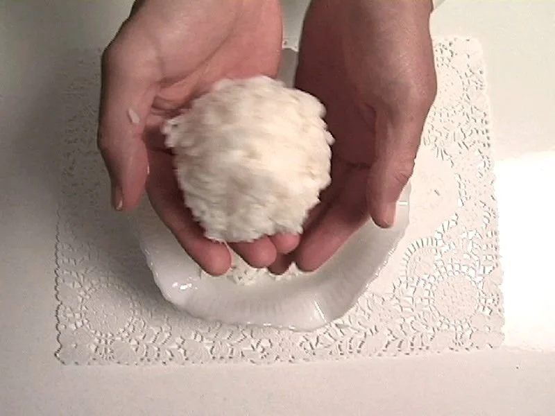  Nicolás Dumit Estévez,  Arroz sin pollo , 2005 