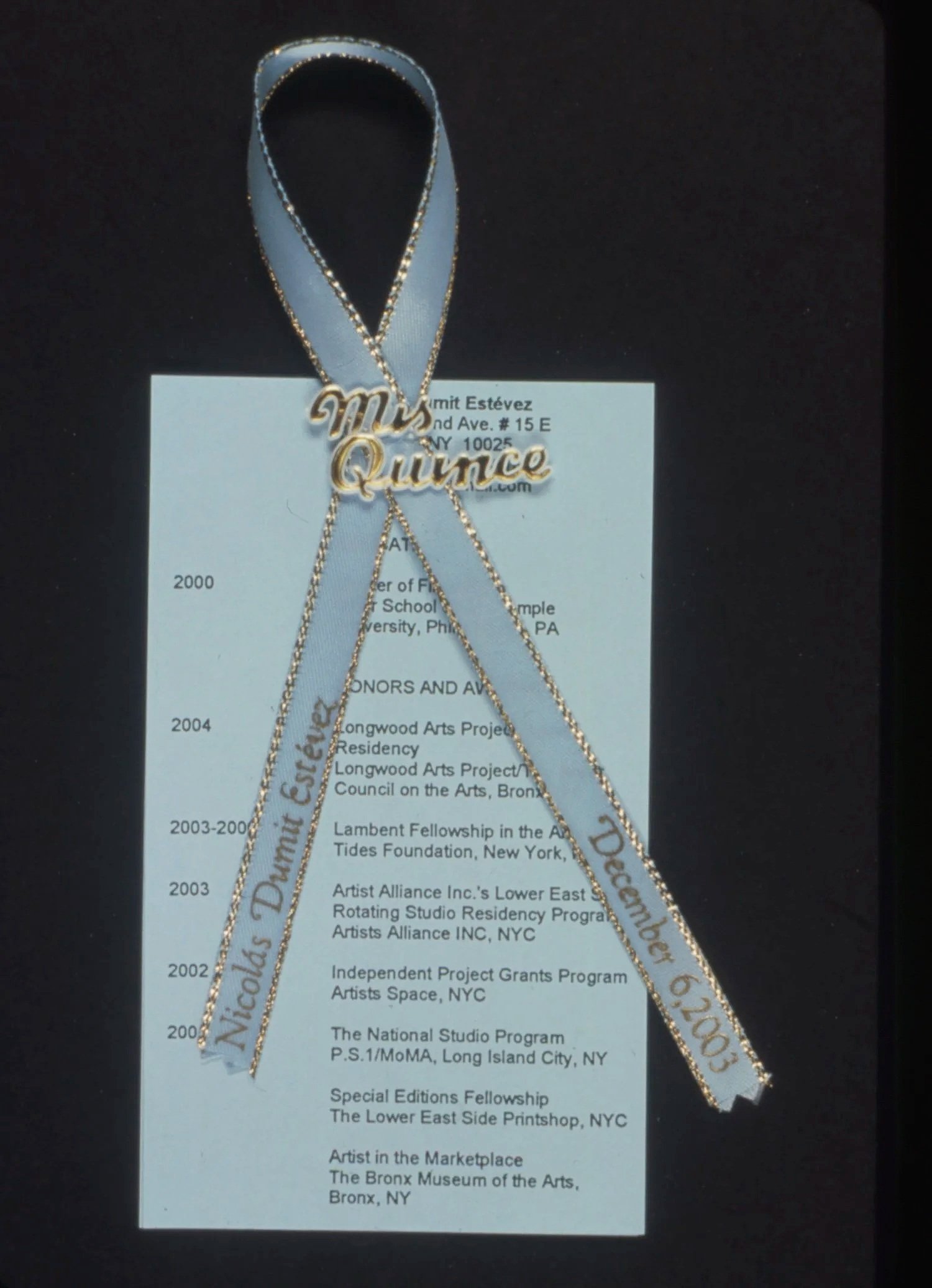  Nicolás Dumit Estévez,  Recuento de mis 15 , 2003 / (souvenir/capia) 